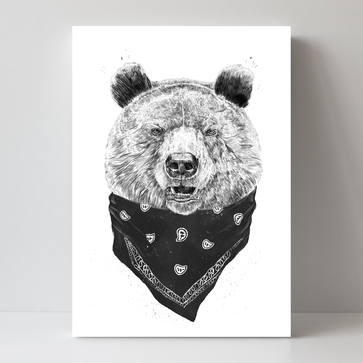 Wild Bear by Balazs Solti