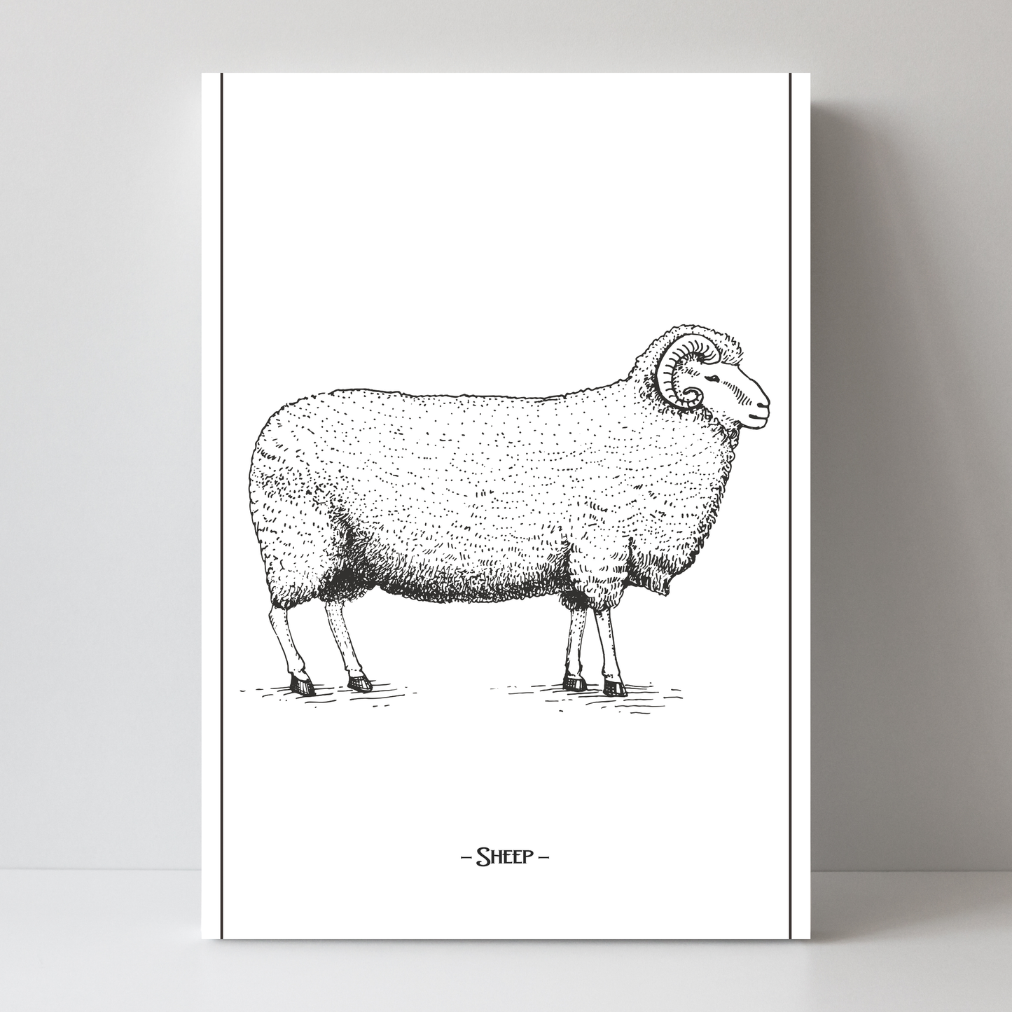 Sheep by Jason Stanley