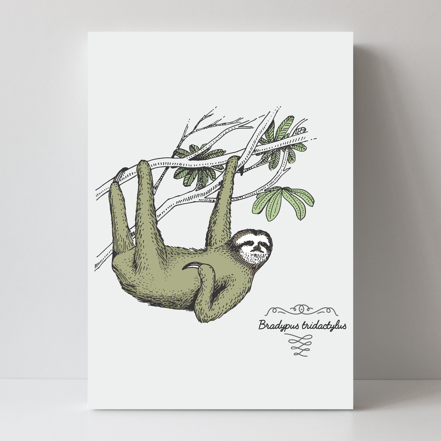 Sloth by Jason Stanley