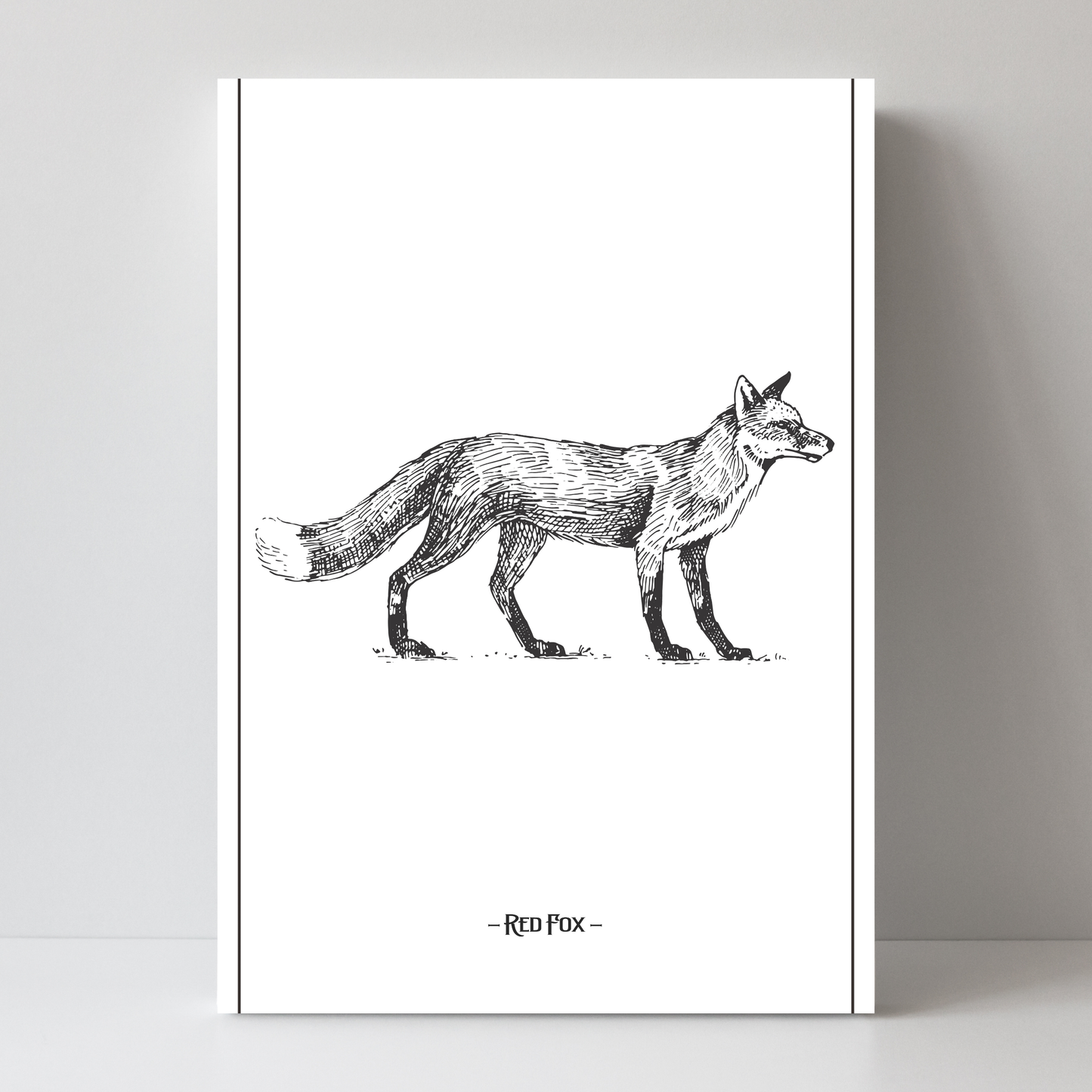 Red Fox by Jason Stanley