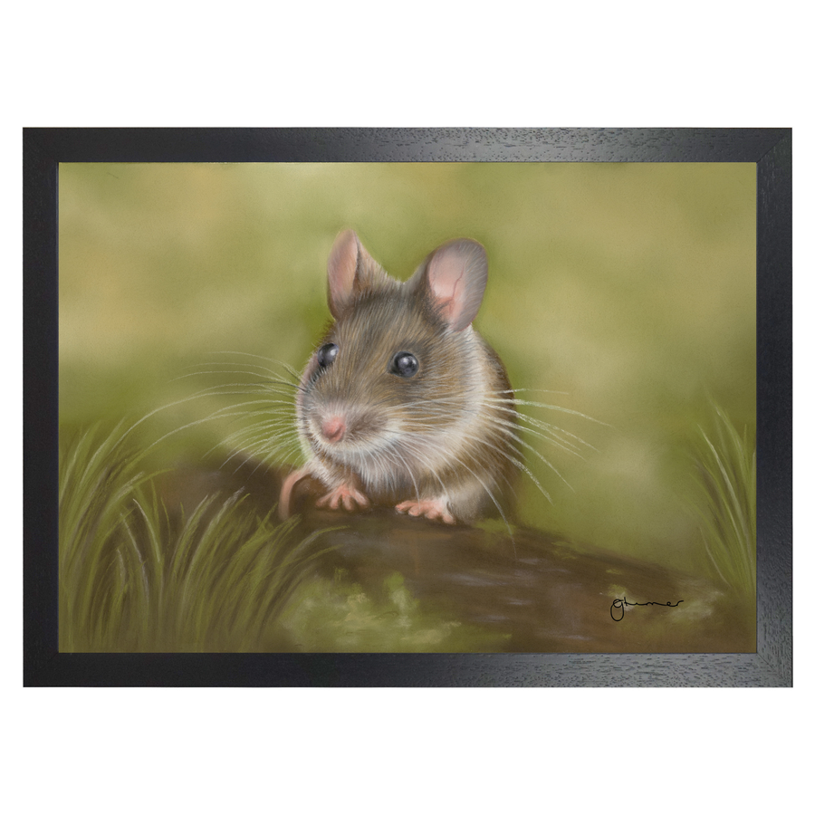 Field Mouse by Georgie Turner