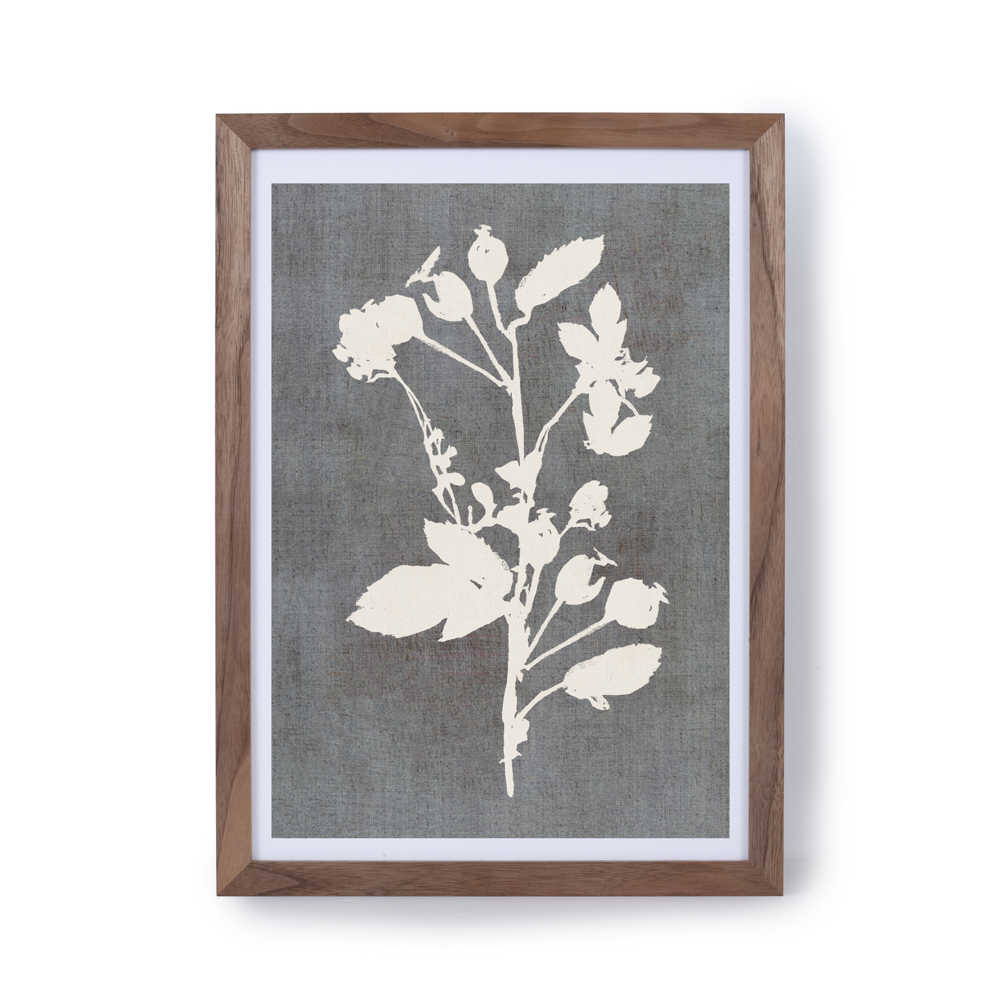 Botanical Illustration 3 by Cartissi
