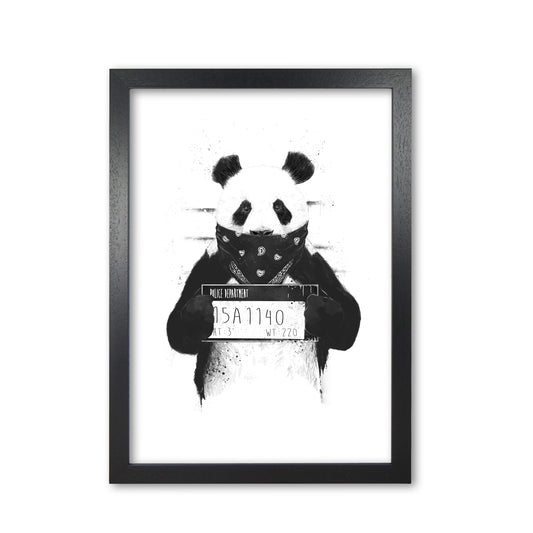 Bad Panda Animal Art Print by Balaz Solti Black Grain