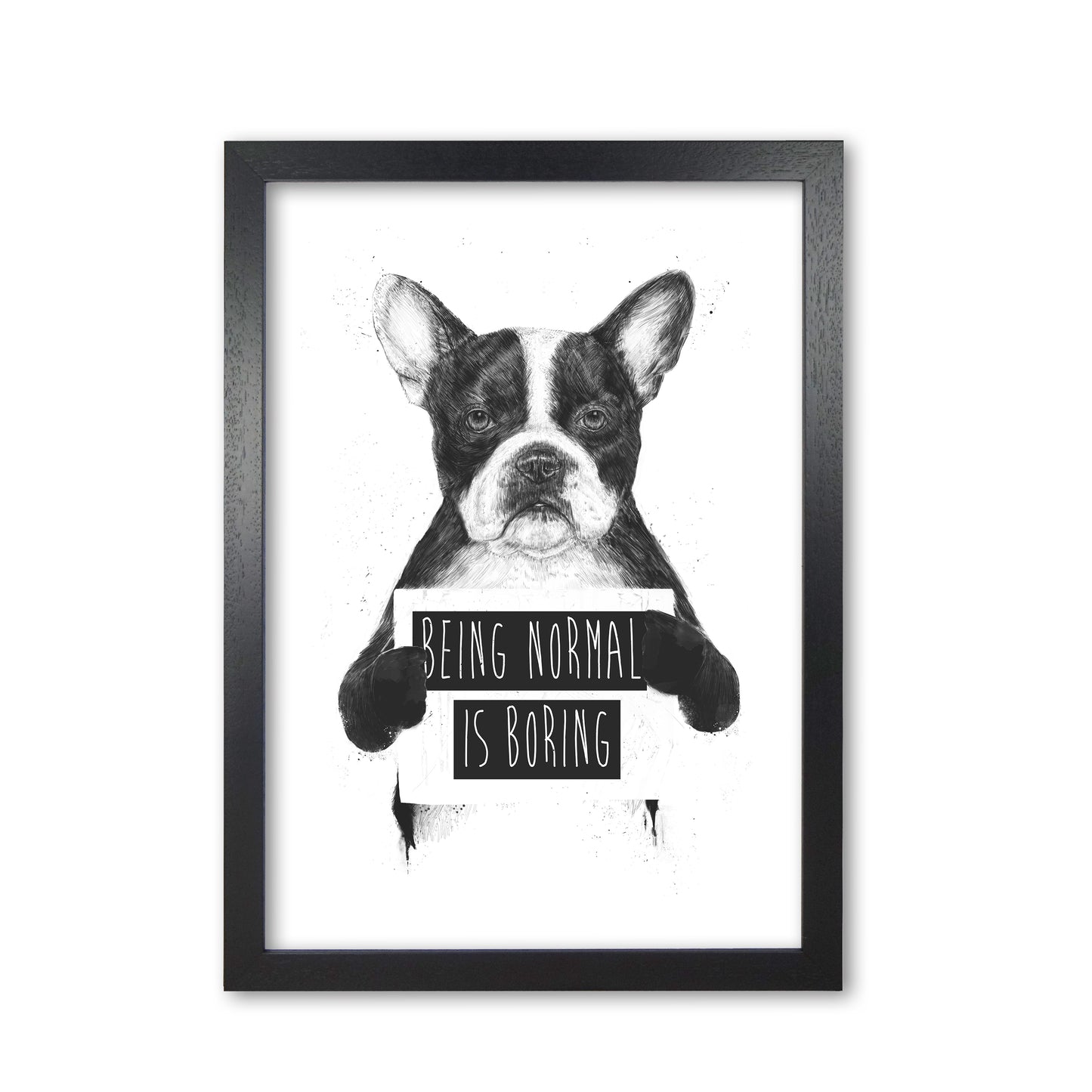 Being Normal Is Boring Animal Art Print by Balaz Solti Black Grain