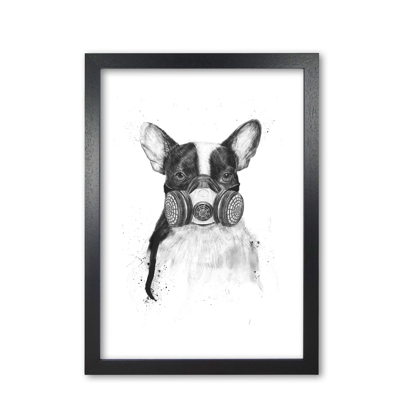 Big City Life Bulldog Animal Art Print by Balaz Solti Black Grain