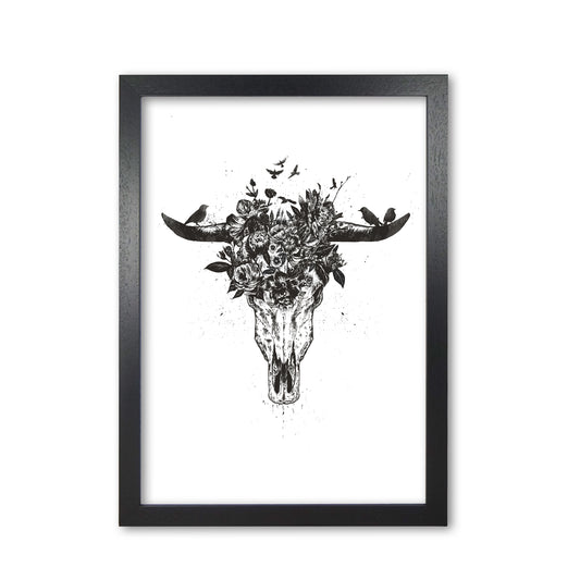 Dead Summer B&W Animal Art Print by Balaz Solti Black Grain