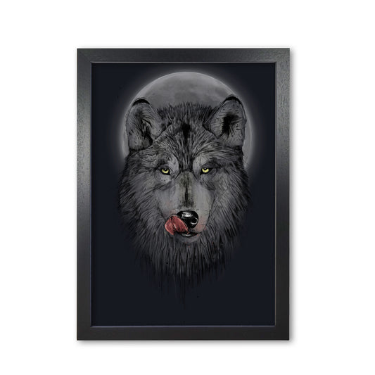 Dinner Time Wolf Night Animal Art Print by Balaz Solti Black Grain