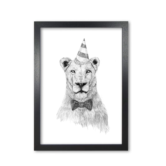 Get The Party Started Lion Animal Art Print by Balaz Solti Black Grain