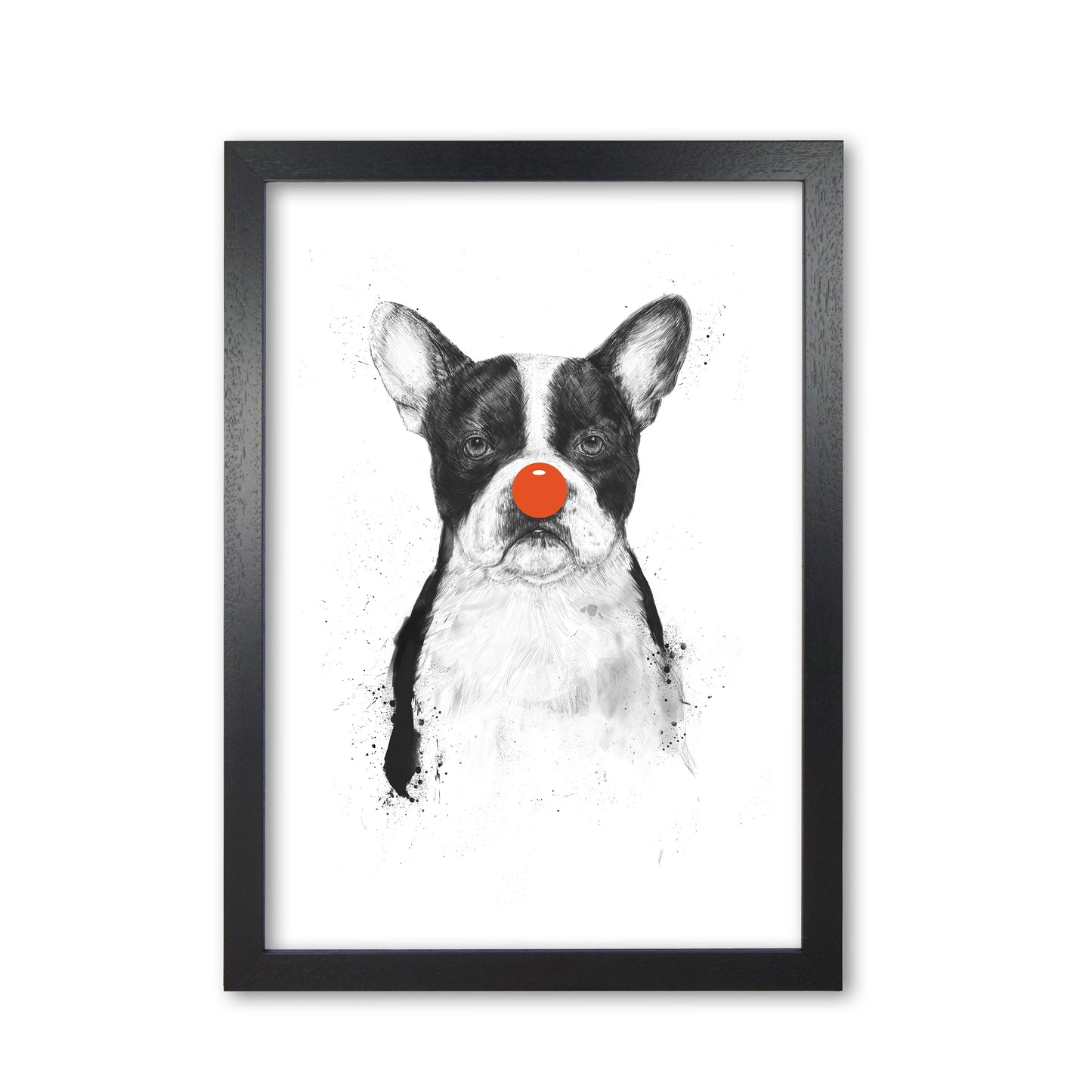 I'm Not Your Clown Bulldog Animal Art Print by Balaz Solti Black Grain
