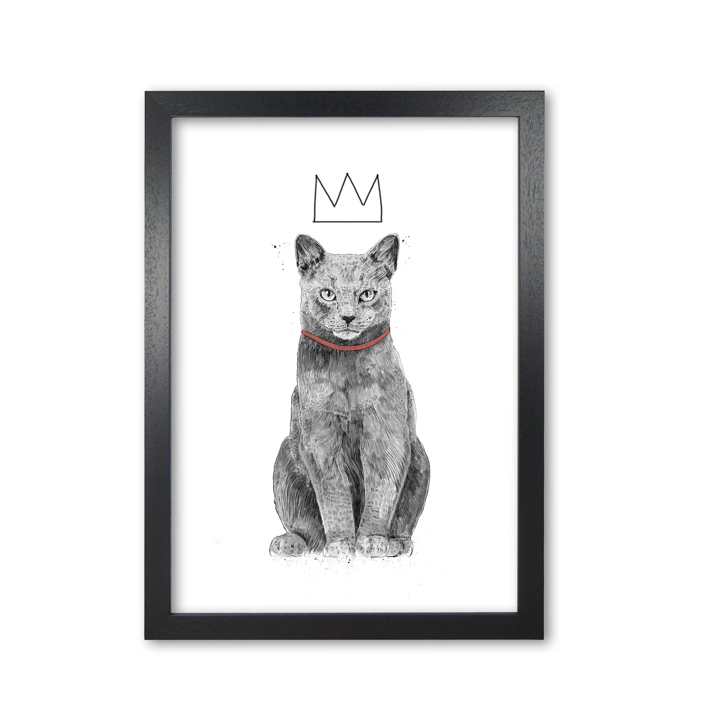 King Of Everything Animal Art Print by Balaz Solti Black Grain