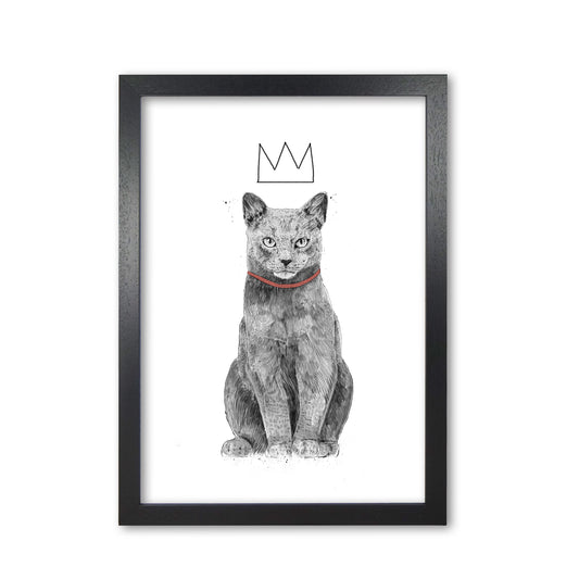 King Of Everything Animal Art Print by Balaz Solti Black Grain