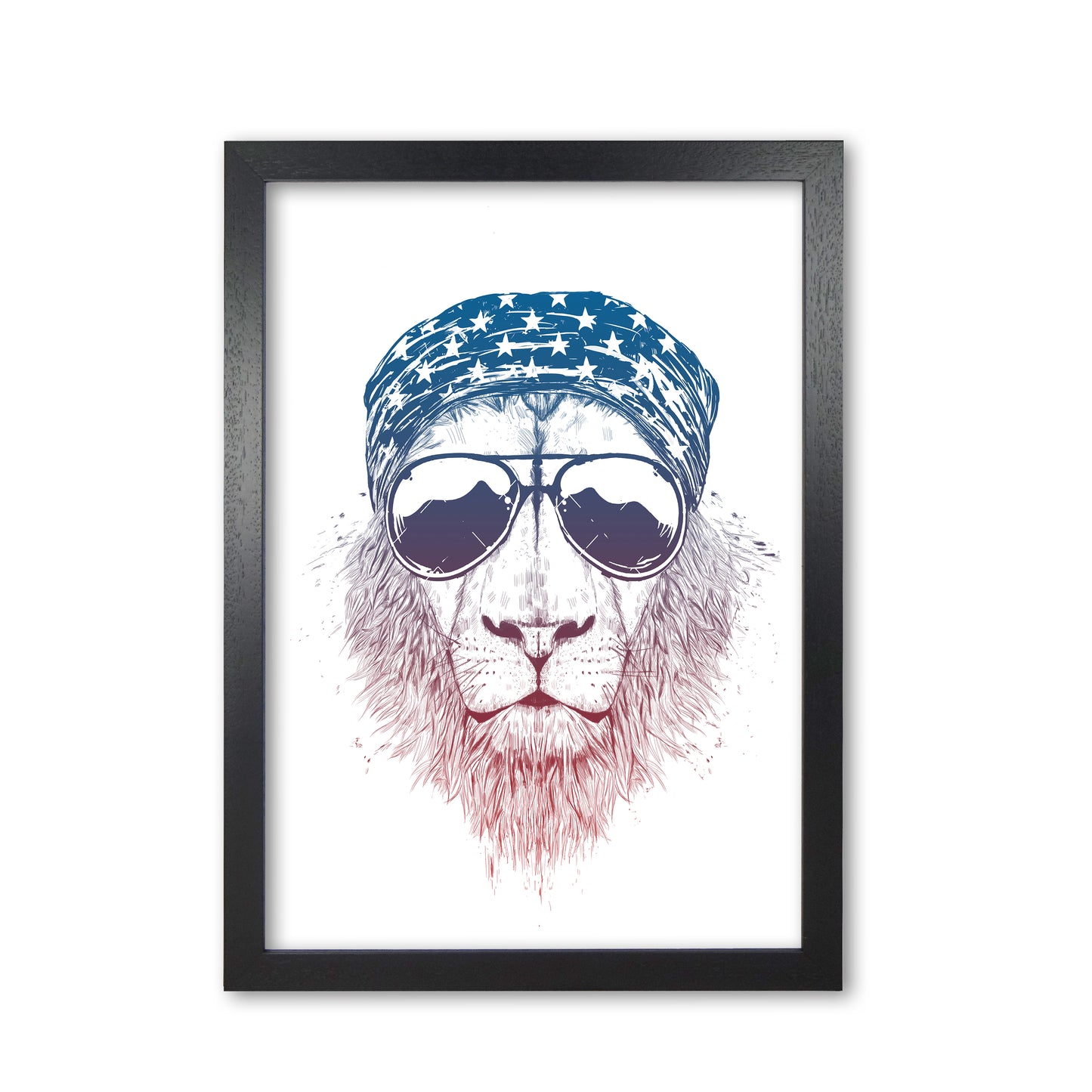 Wild Lion Colour Animal Art Print by Balaz Solti Black Grain