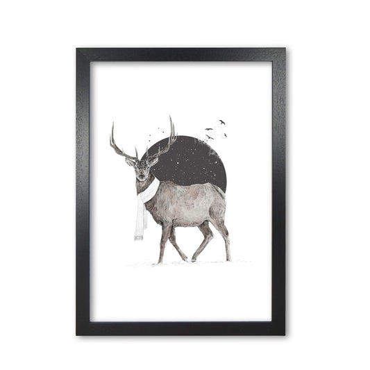 Winter Is All Around Stag Colour Animal Art Print by Balaz Solti Black Grain