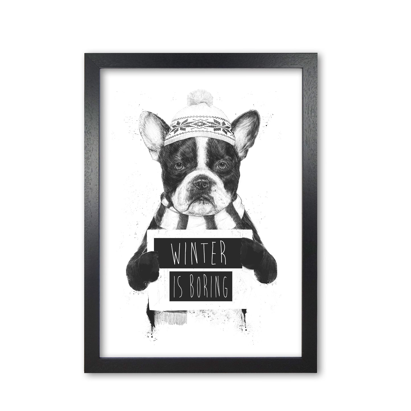 Winter Is Boring Animal Art Print by Balaz Solti Black Grain