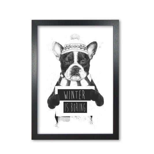 Winter Is Boring Animal Art Print by Balaz Solti Black Grain