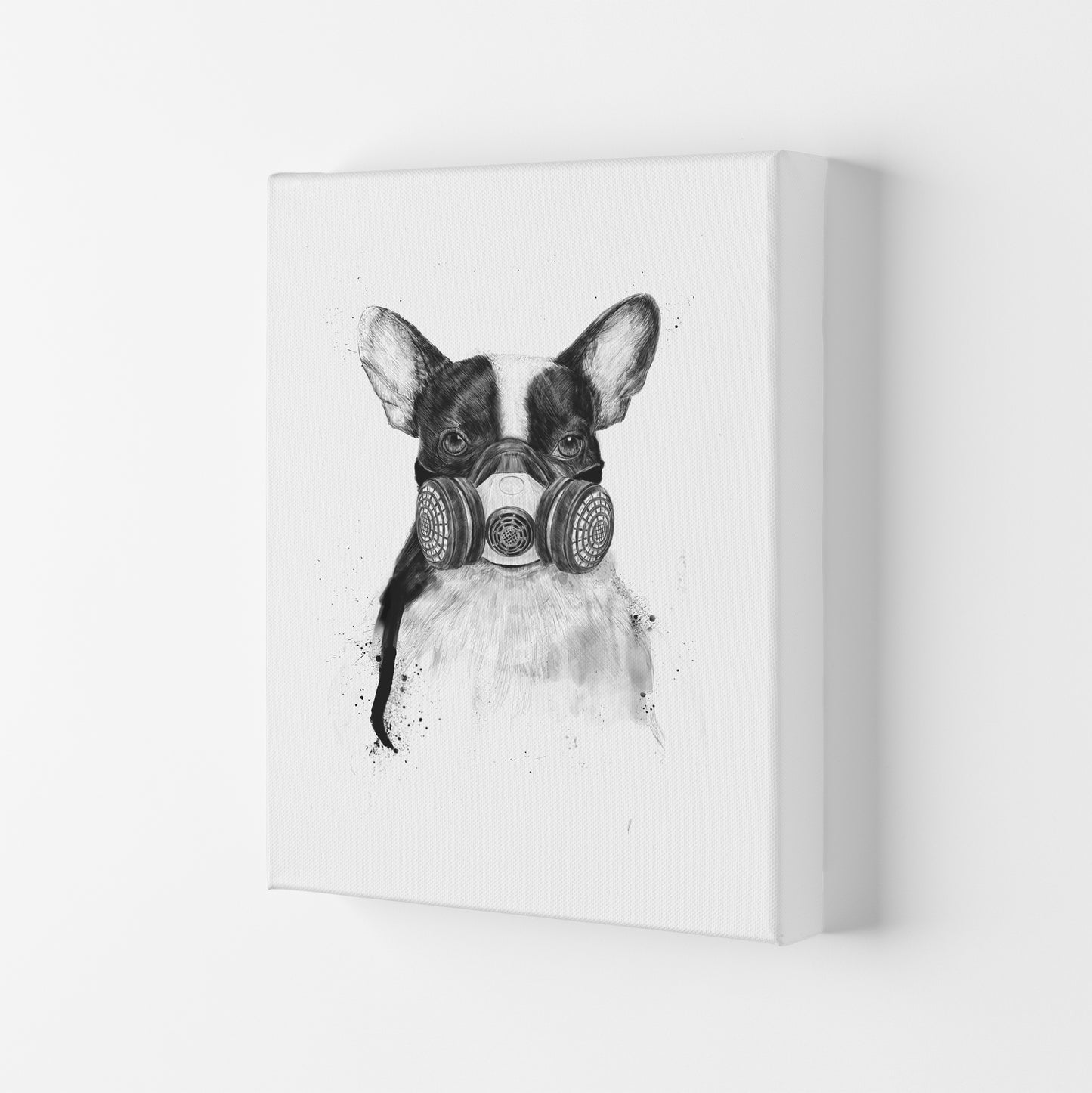 Big City Life Bulldog Animal Art Print by Balaz Solti Canvas