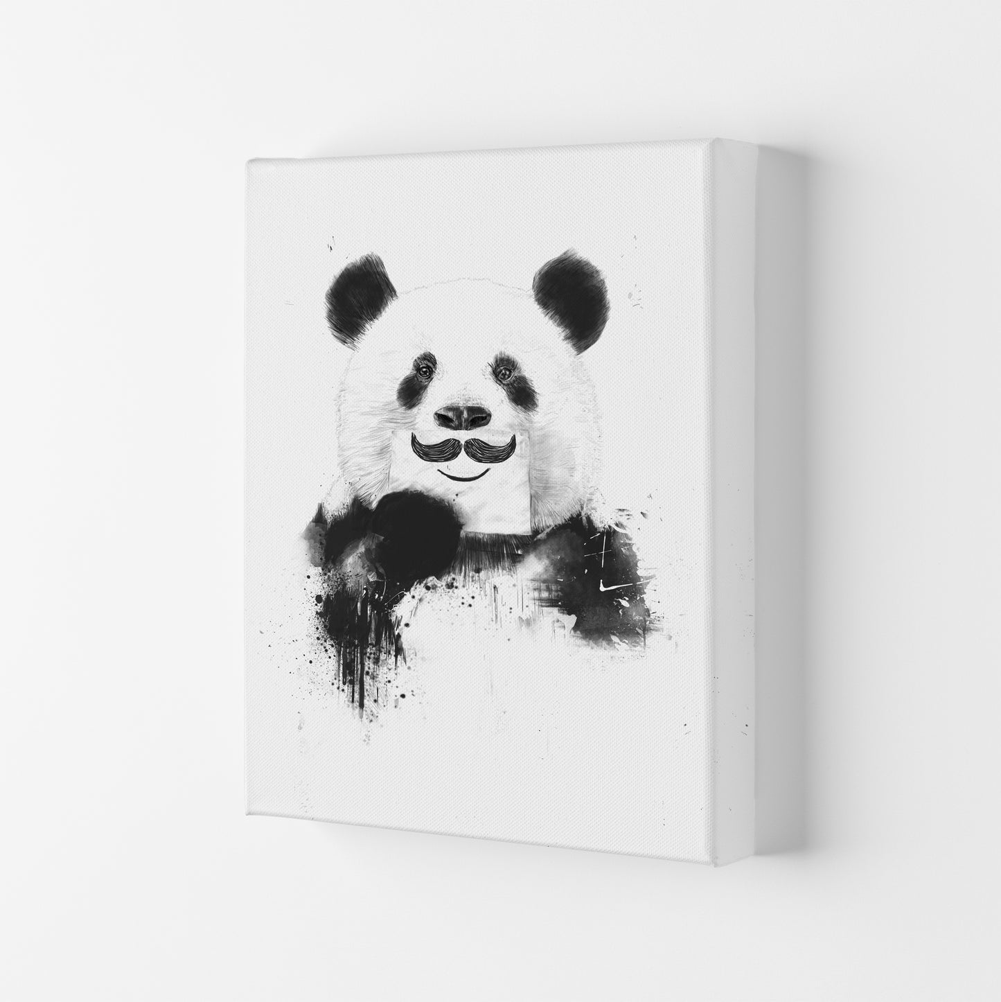 Funny Panda Animal Art Print by Balaz Solti Canvas