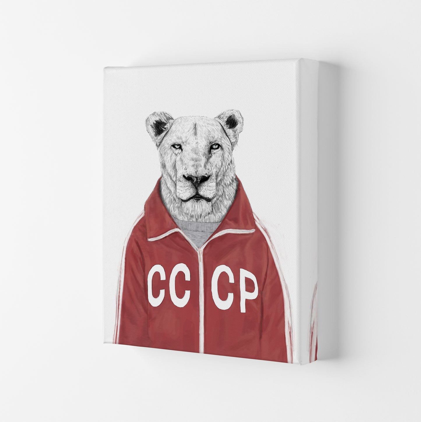 Soviet Lion Animal Art Print by Balaz Solti Canvas