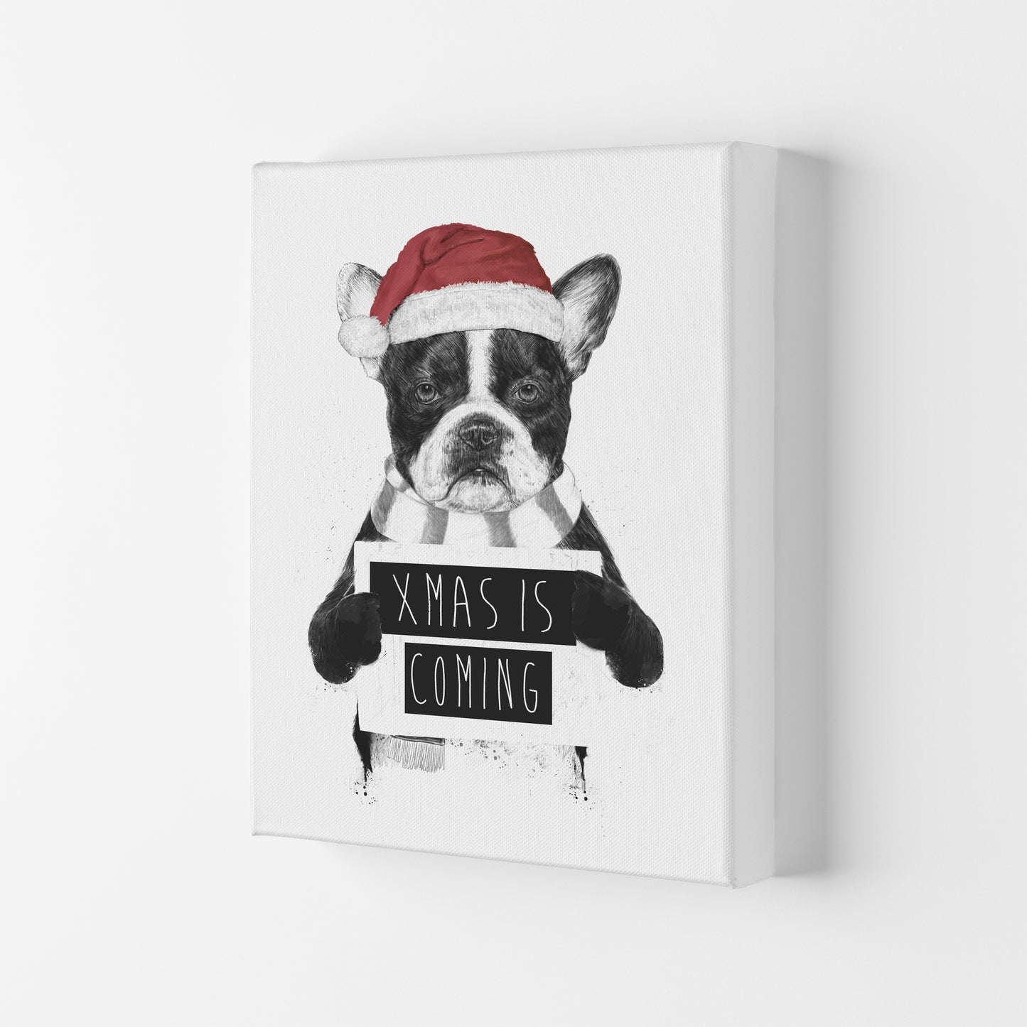 Xmas Is Coming Animal Art Print by Balaz Solti Canvas