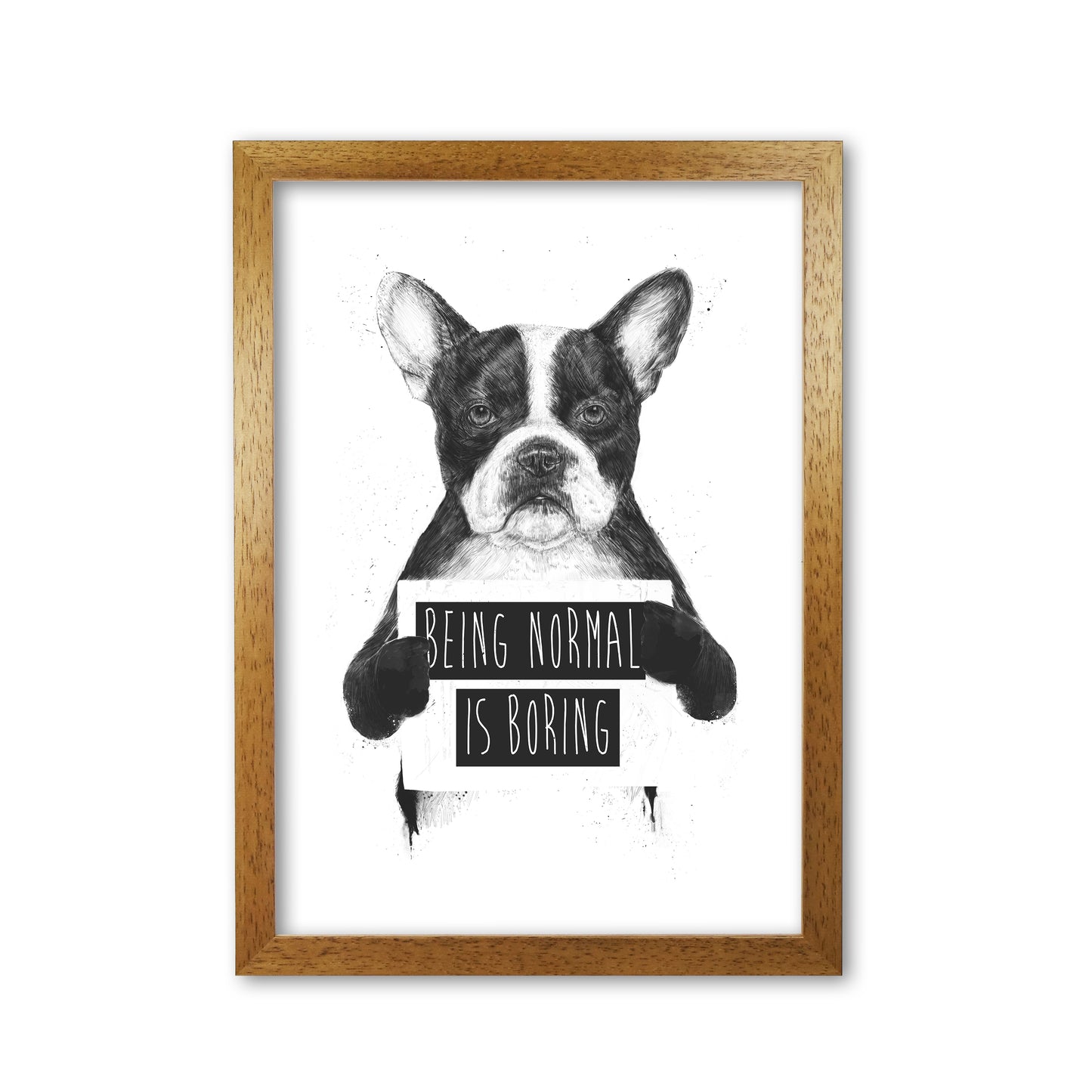 Being Normal Is Boring Animal Art Print by Balaz Solti Oak Grain