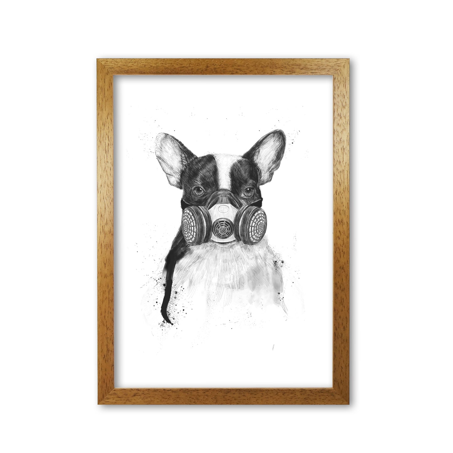 Big City Life Bulldog Animal Art Print by Balaz Solti Oak Grain