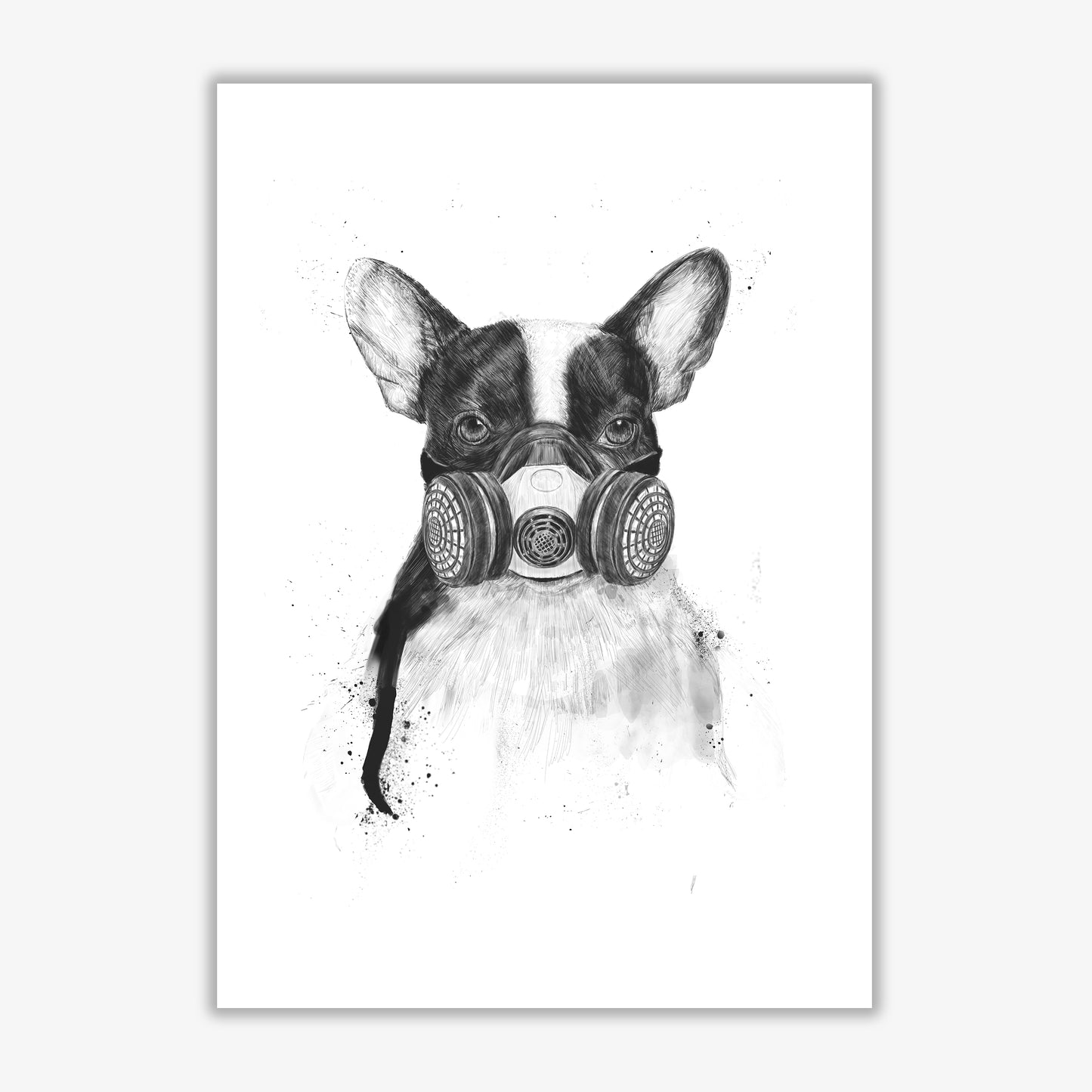 Big City Life Bulldog Animal Art Print by Balaz Solti Print Only