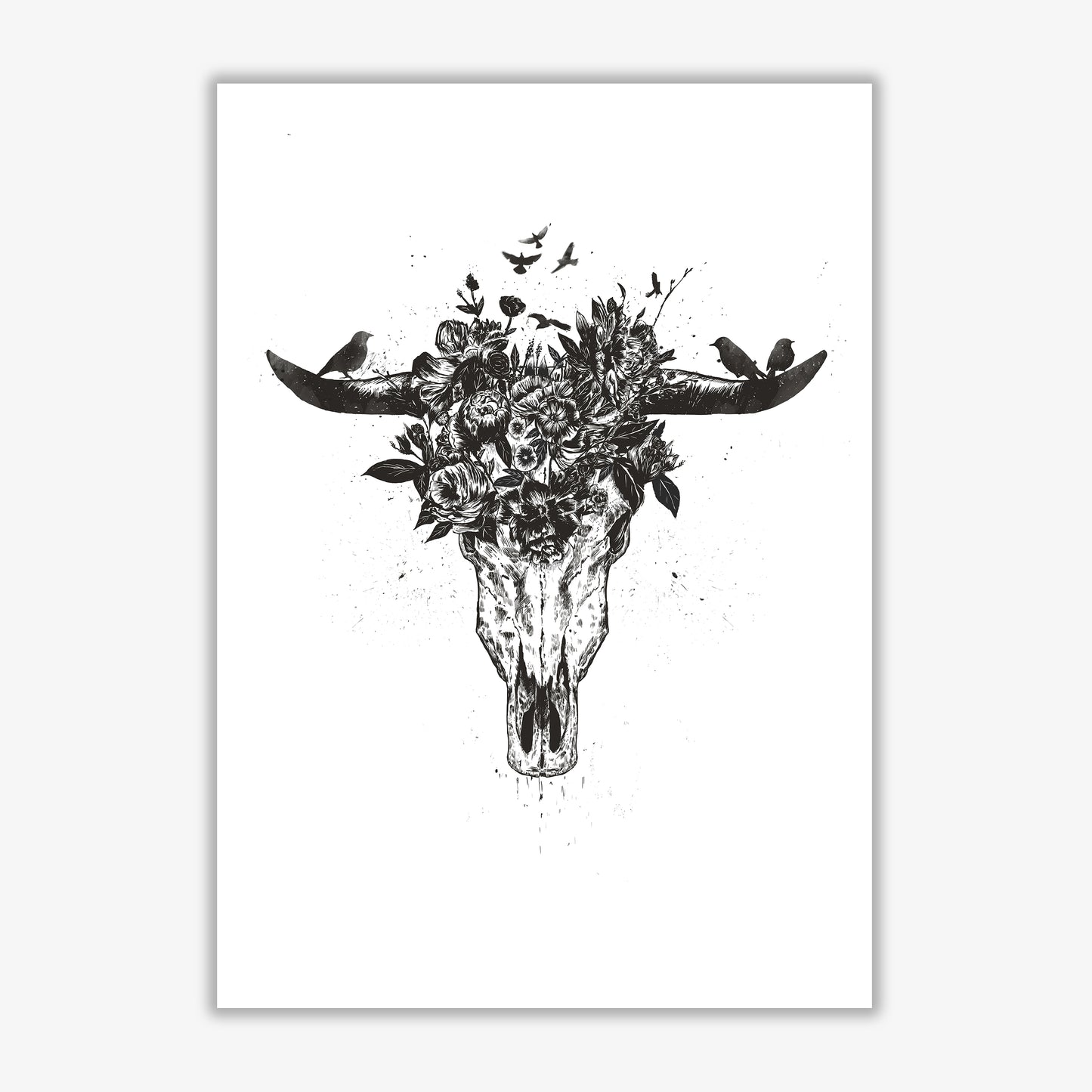 Dead Summer B&W Animal Art Print by Balaz Solti Print Only