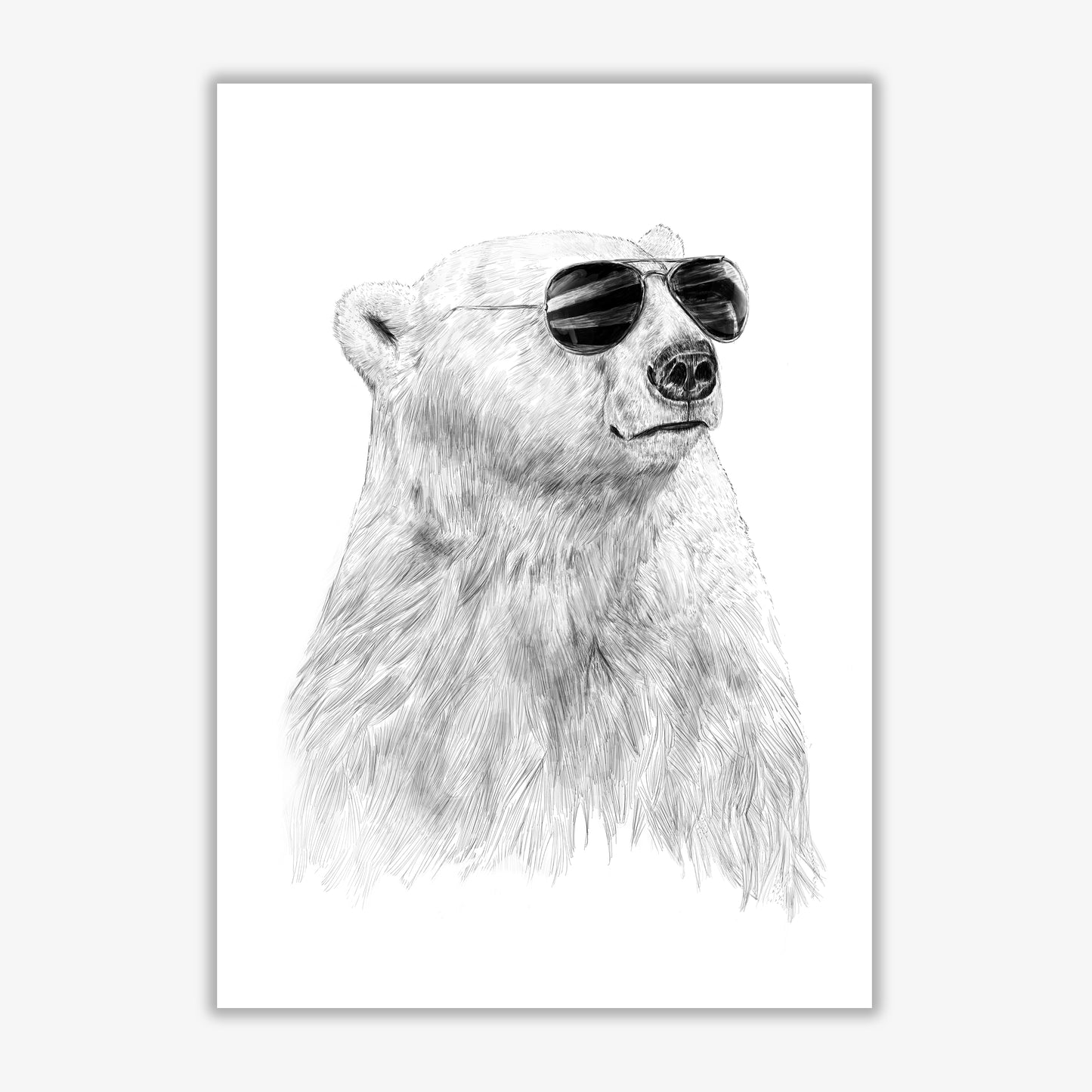 Don't Let The Sun Go Down Bear Animal Art Print by Balaz Solti Print Only