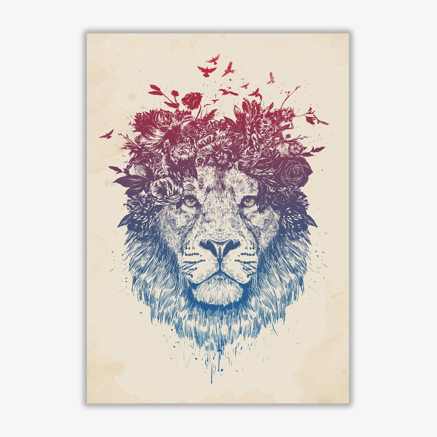 Floral Lion Animal Art Print by Balaz Solti Print Only