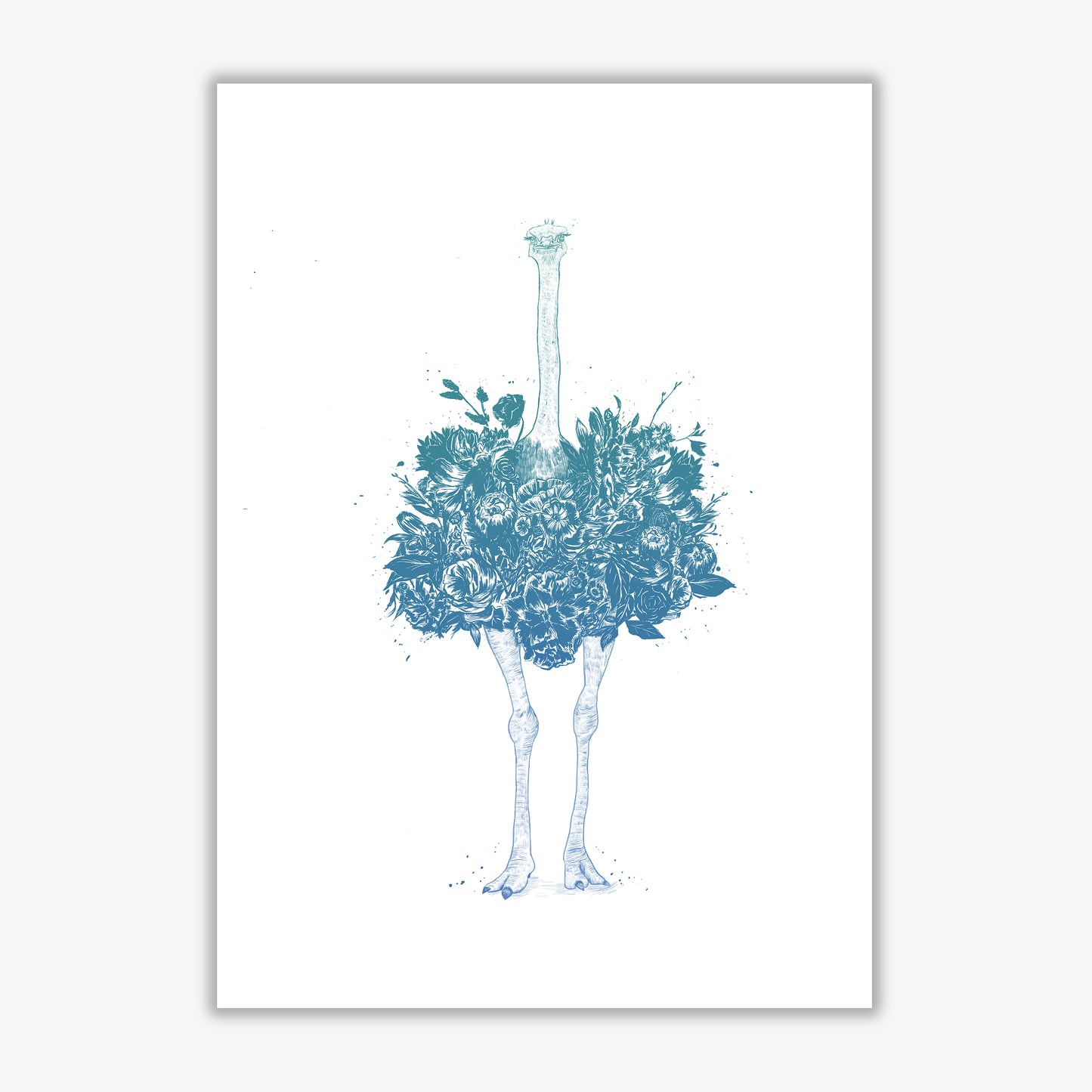 Floral Ostrich Teal Animal Art Print by Balaz Solti Print Only