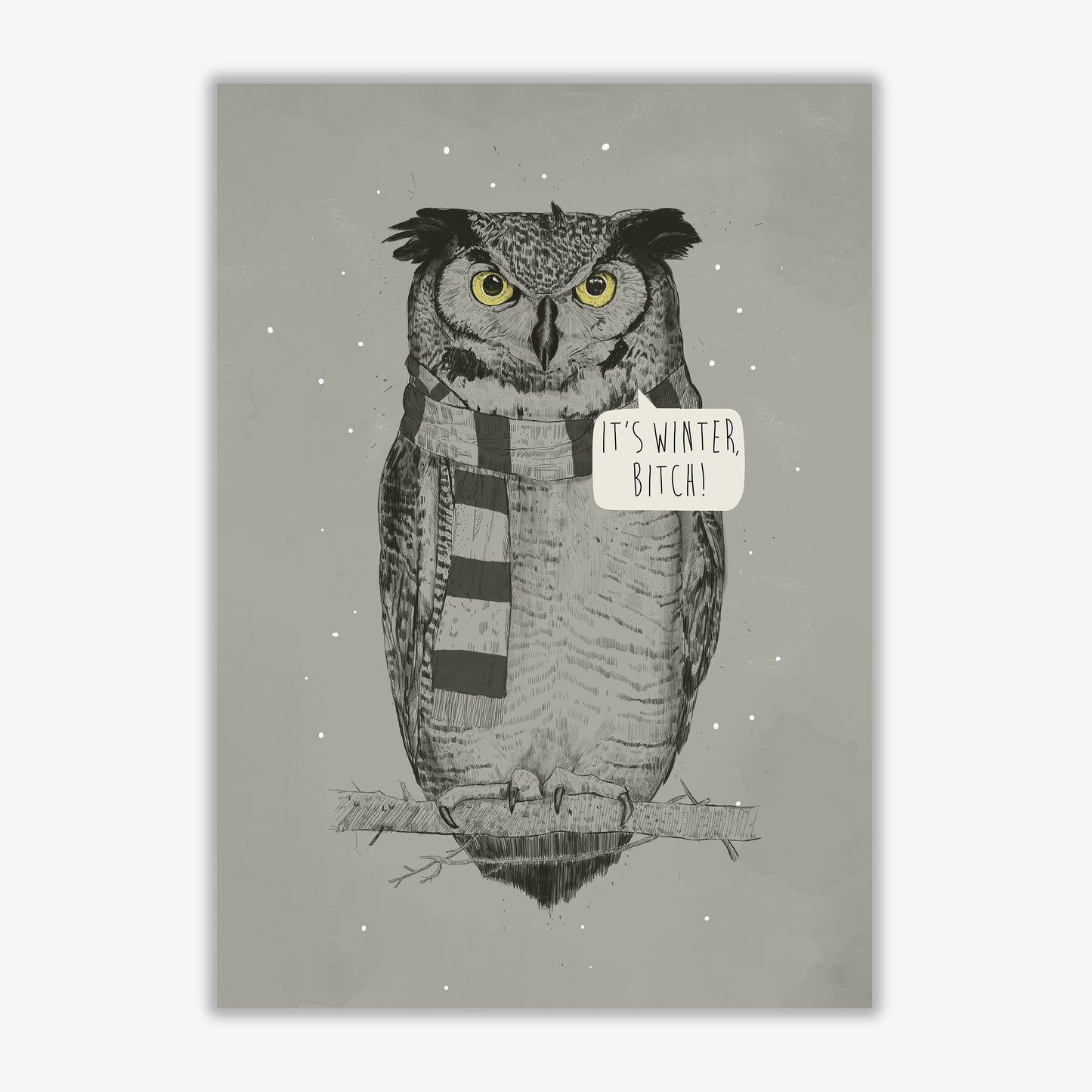 It's Winter B*tch Animal Art Print by Balaz Solti Print Only