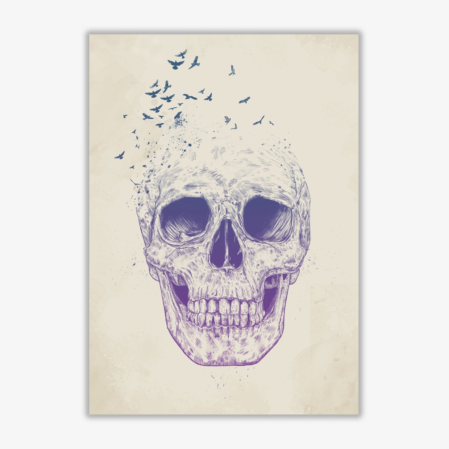Let Them Fly Skull II Gothic Art Print by Balaz Solti Print Only