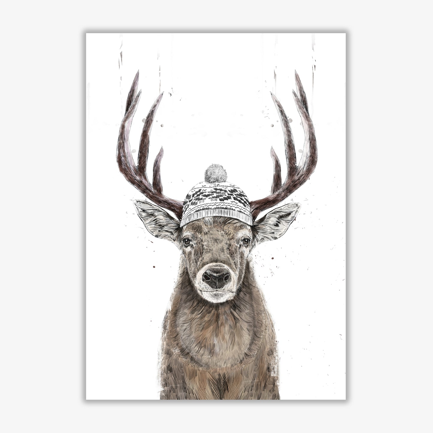 Lets Go Outside Reindeer Animal Art Print by Balaz Solti Print Only