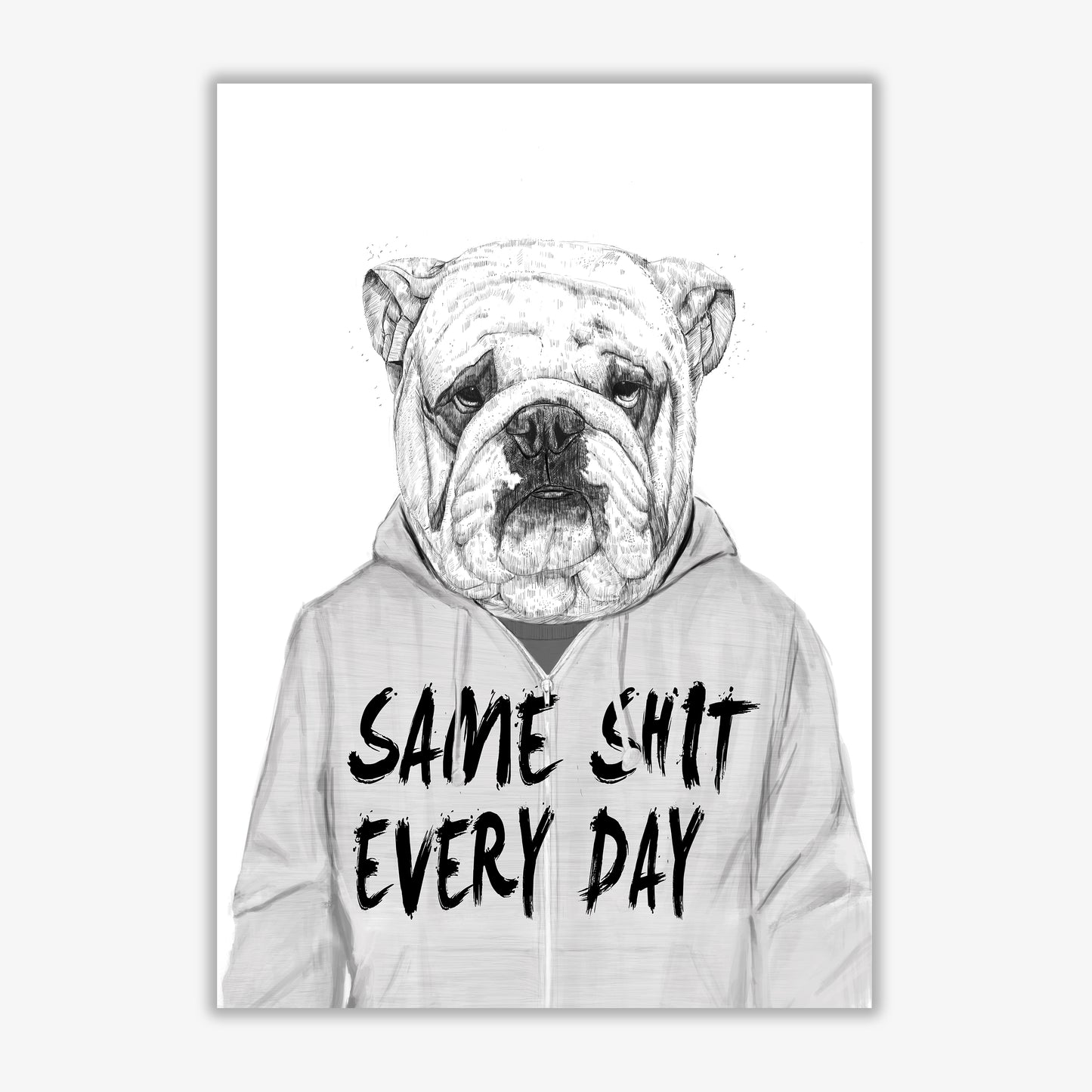 Same Sh*t Everyday Bulldog Animal Art Print by Balaz Solti Print Only