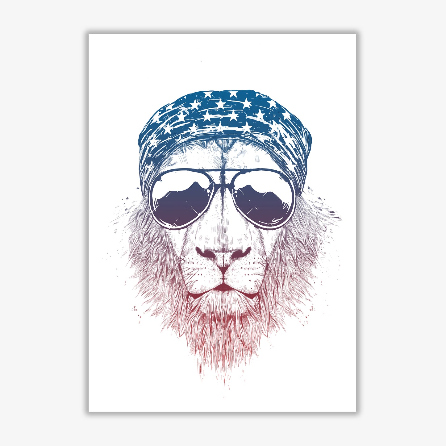 Wild Lion Colour Animal Art Print by Balaz Solti Print Only