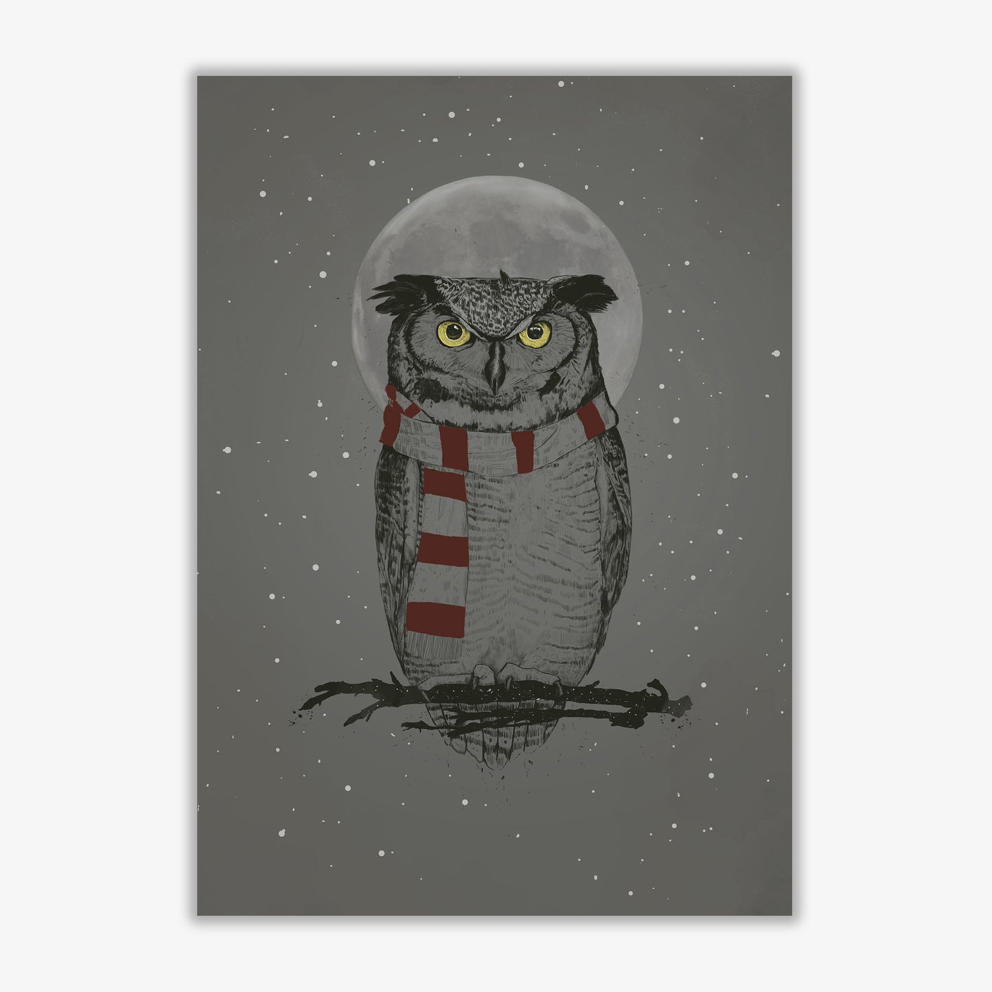 Winter Owl Animal Art Print by Balaz Solti Print Only