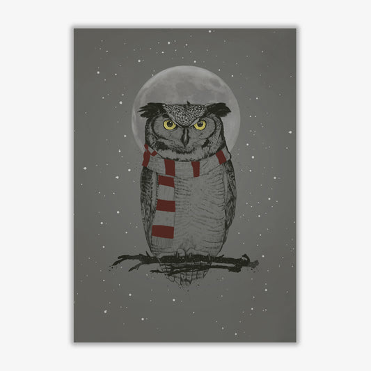 Winter Owl Animal Art Print by Balaz Solti Print Only