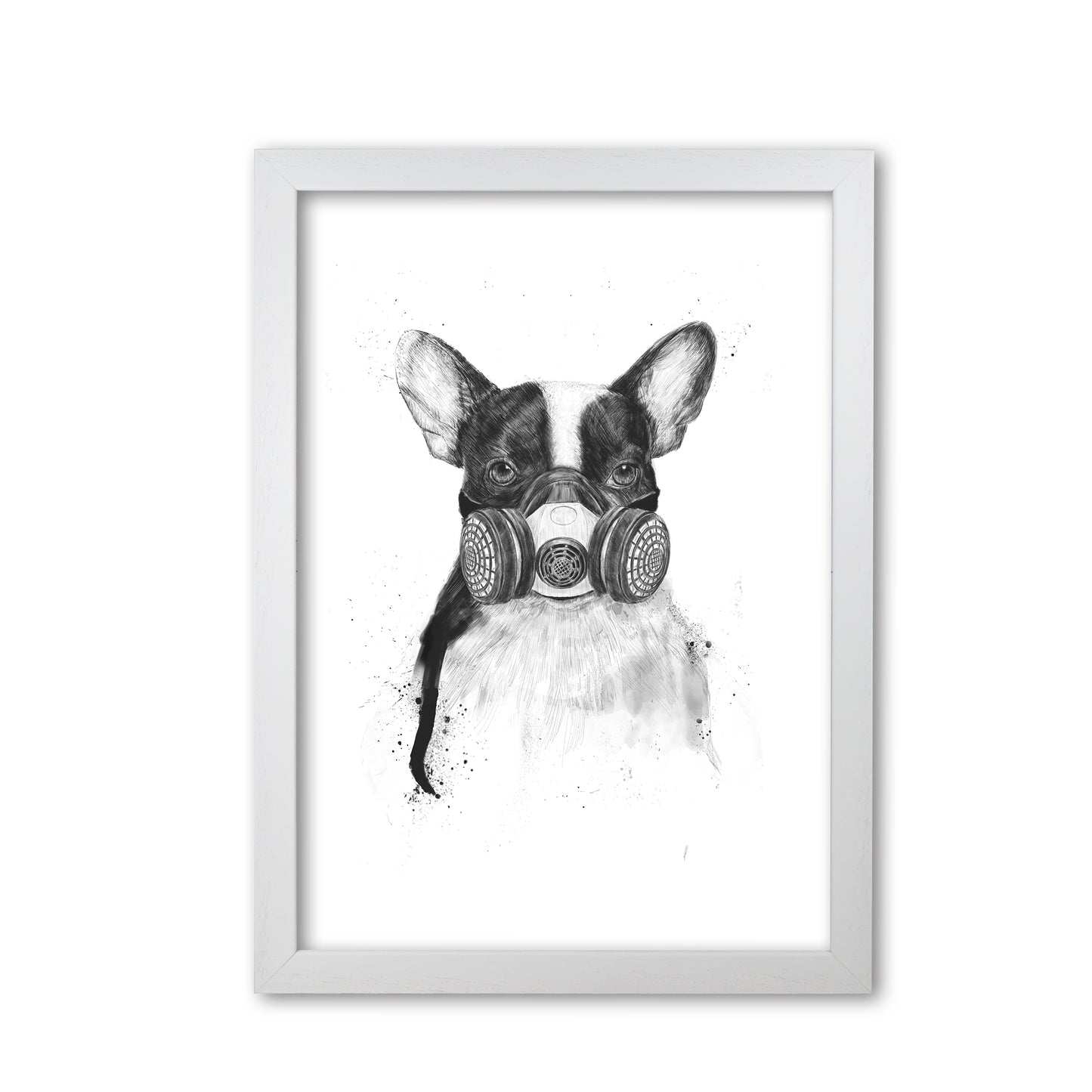 Big City Life Bulldog Animal Art Print by Balaz Solti White Grain