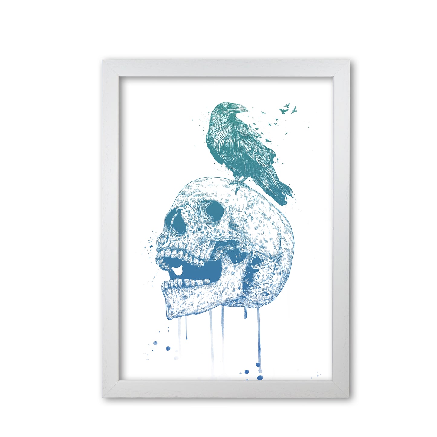 Skull & Raven Colour Animal Art Print by Balaz Solti White Grain