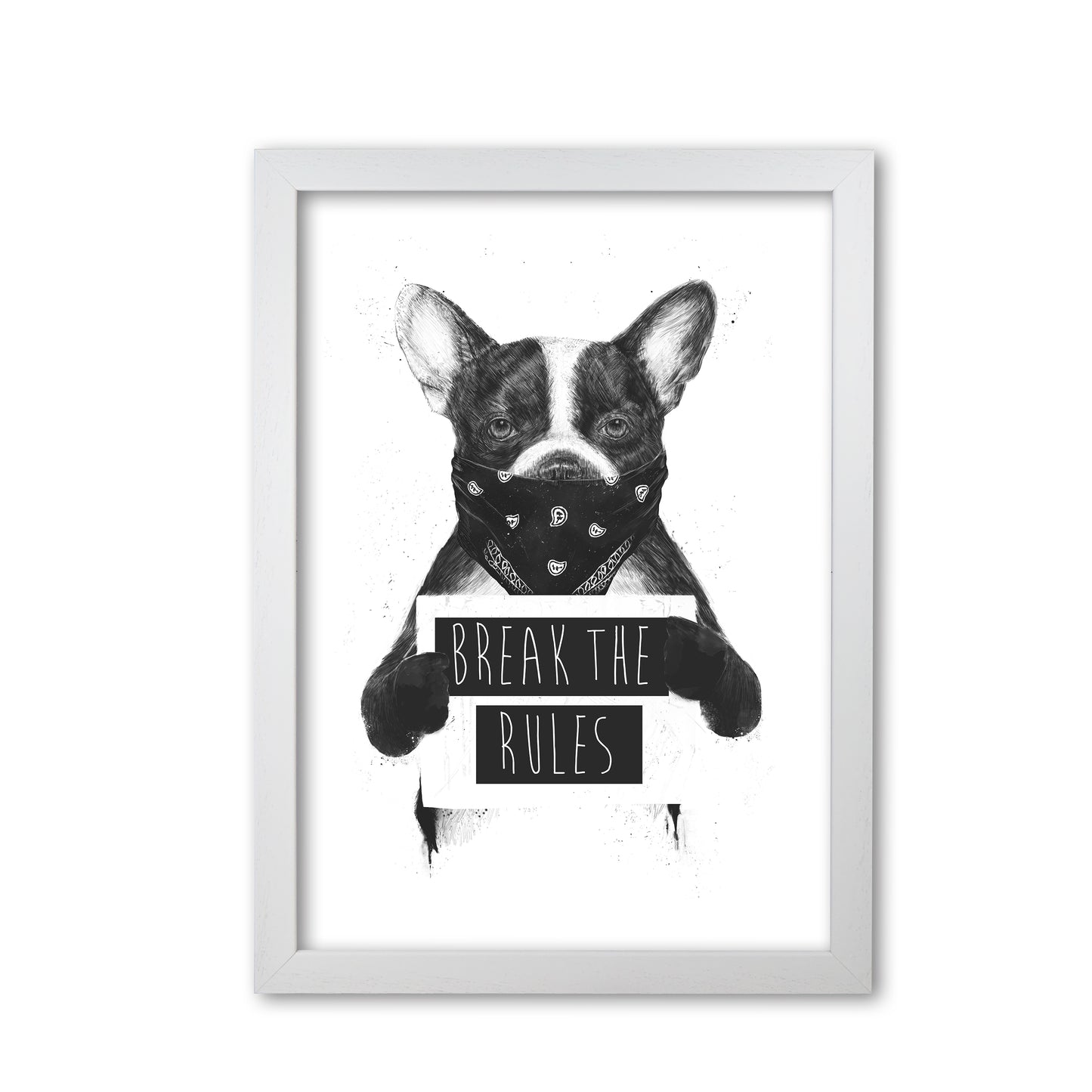 Rebel Bulldog Animal Art Print by Balaz Solti White Grain