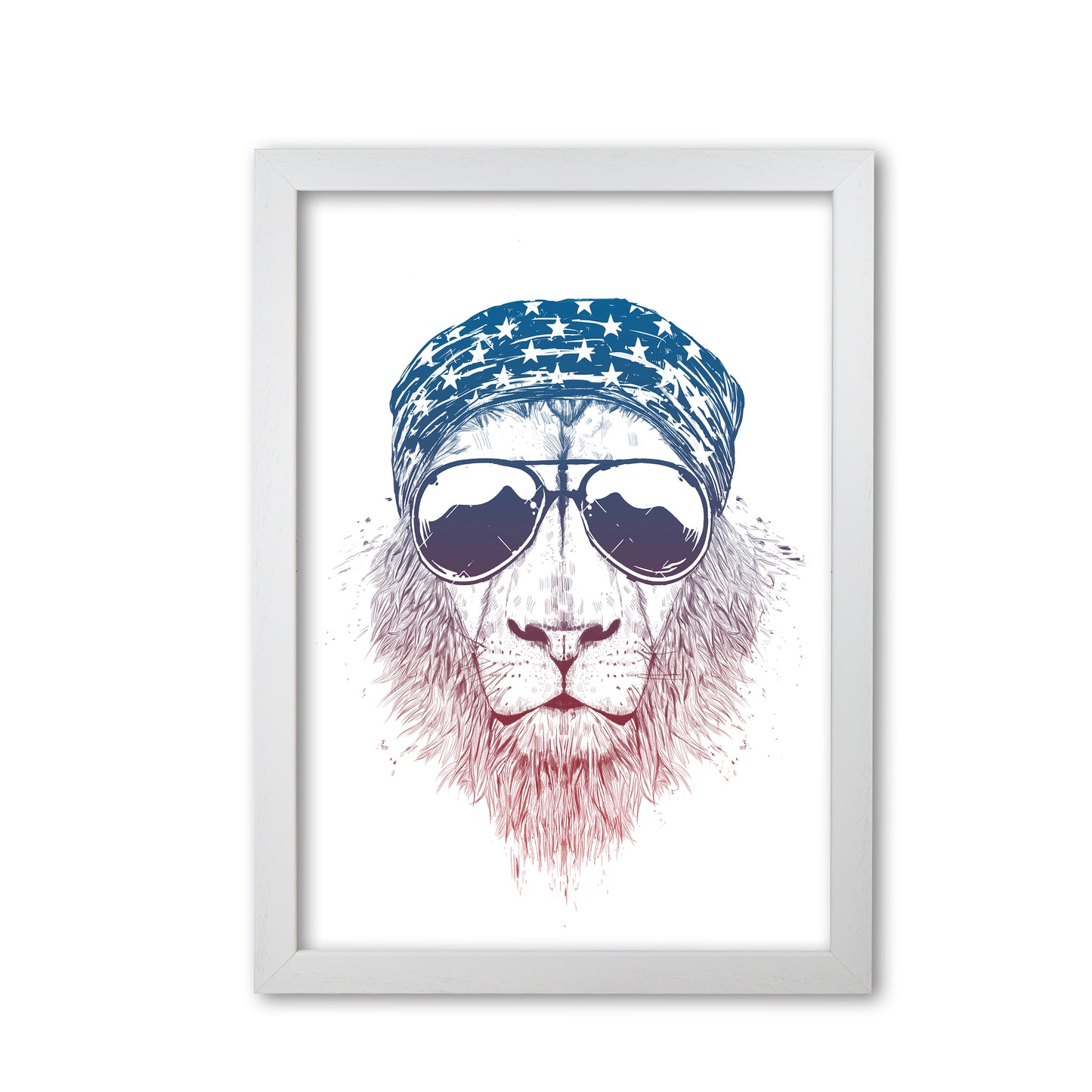 Wild Lion Colour Animal Art Print by Balaz Solti White Grain