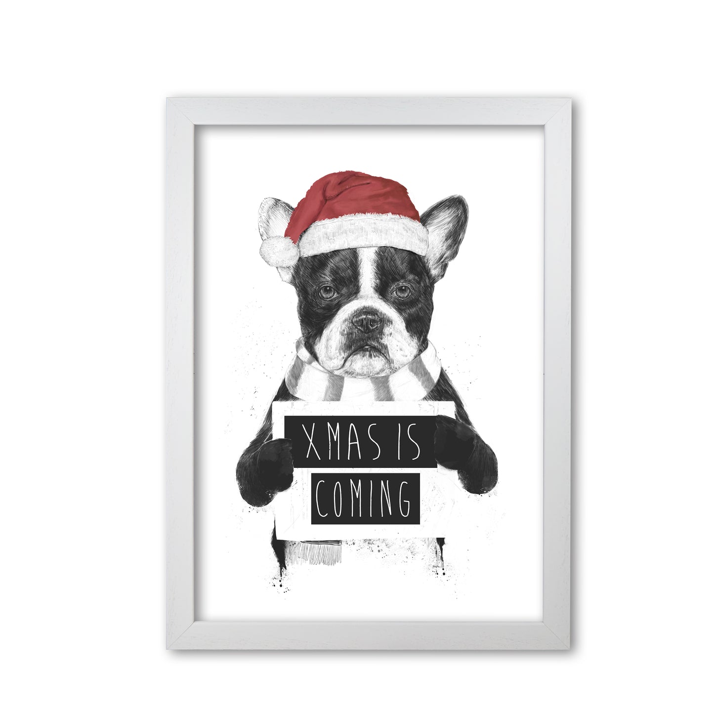 Xmas Is Coming Animal Art Print by Balaz Solti White Grain