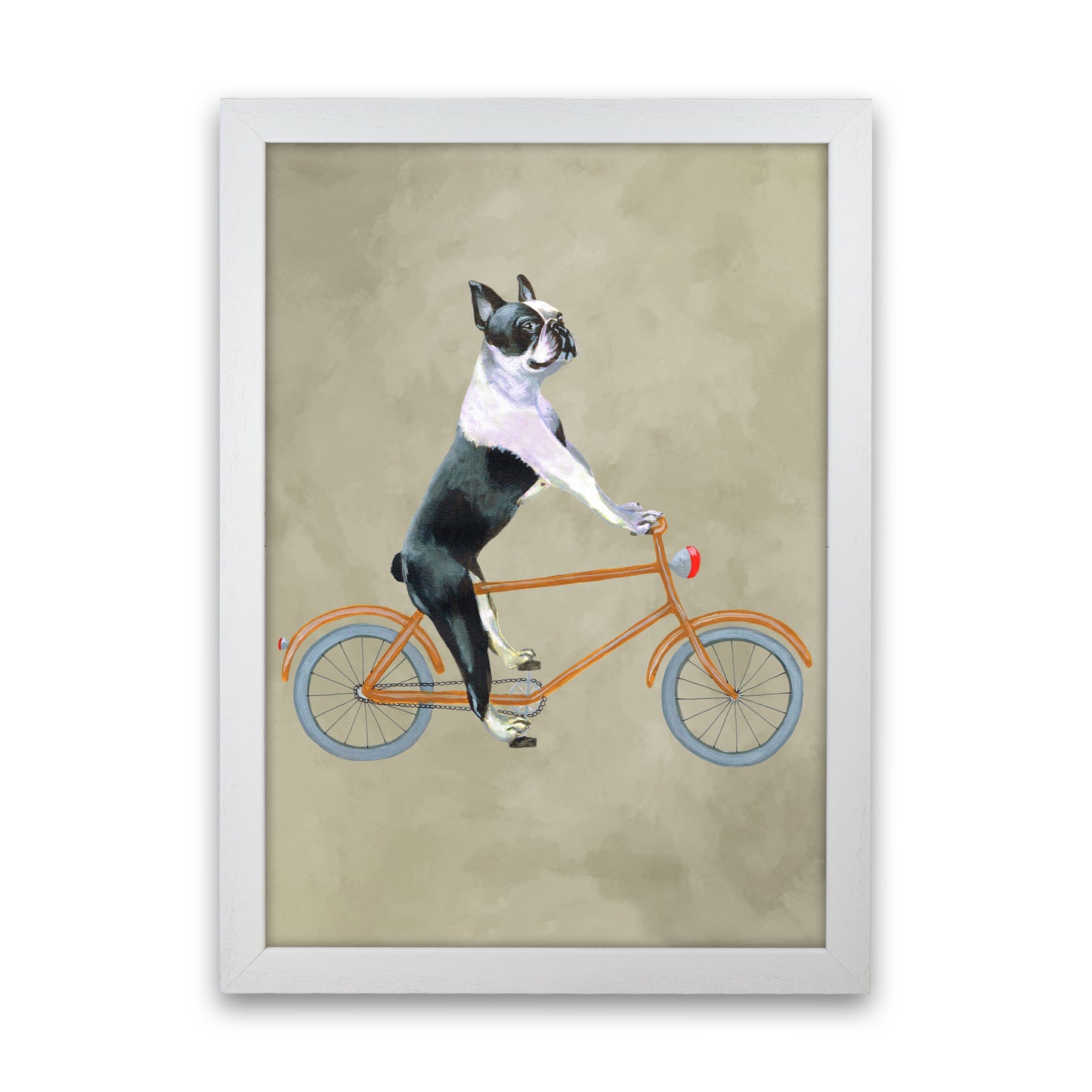 Boston Terrier On Bicycle Art Print by Coco Deparis White Grain