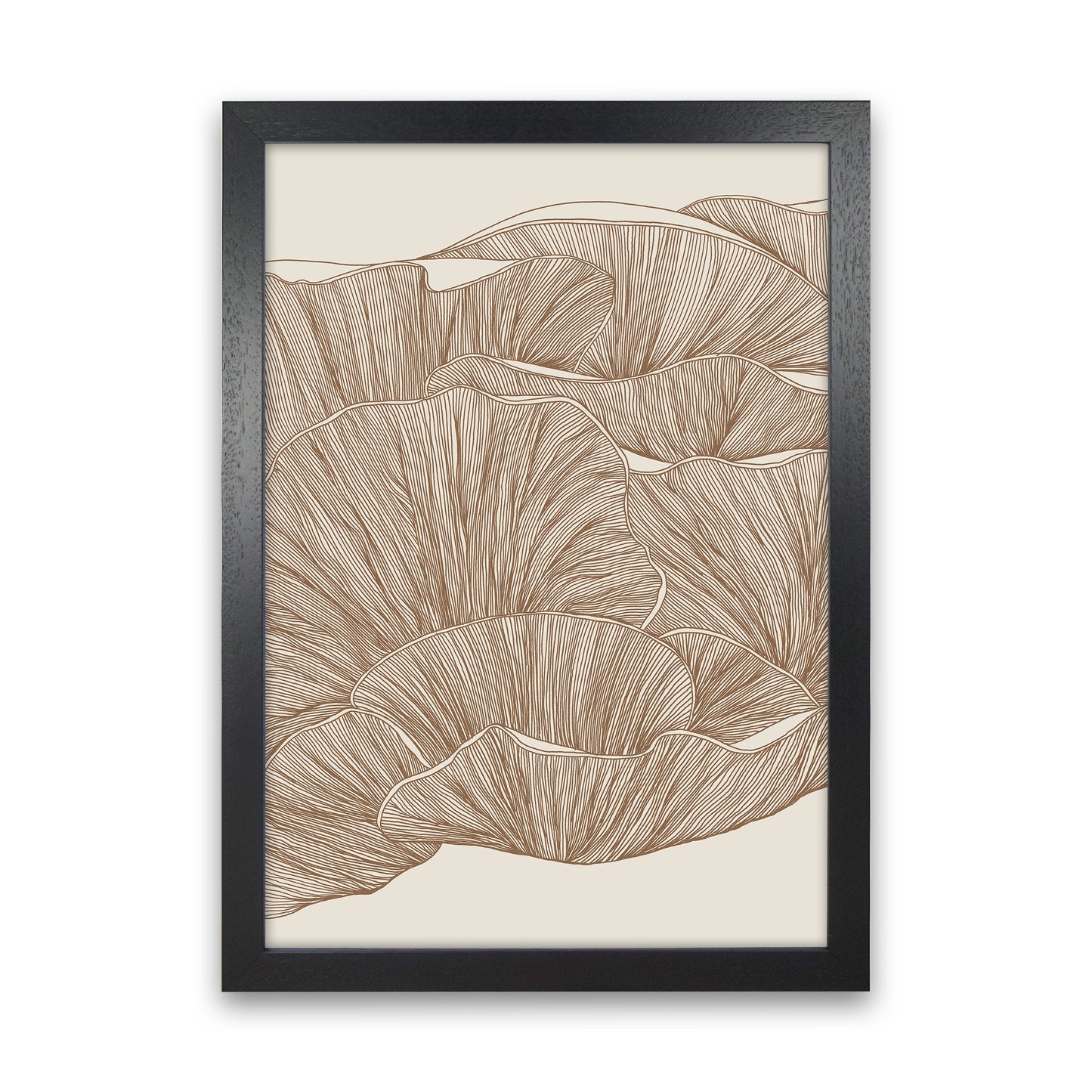 Oyster Mushrooms Brown Art Print by Carissa Tanton Black Grain