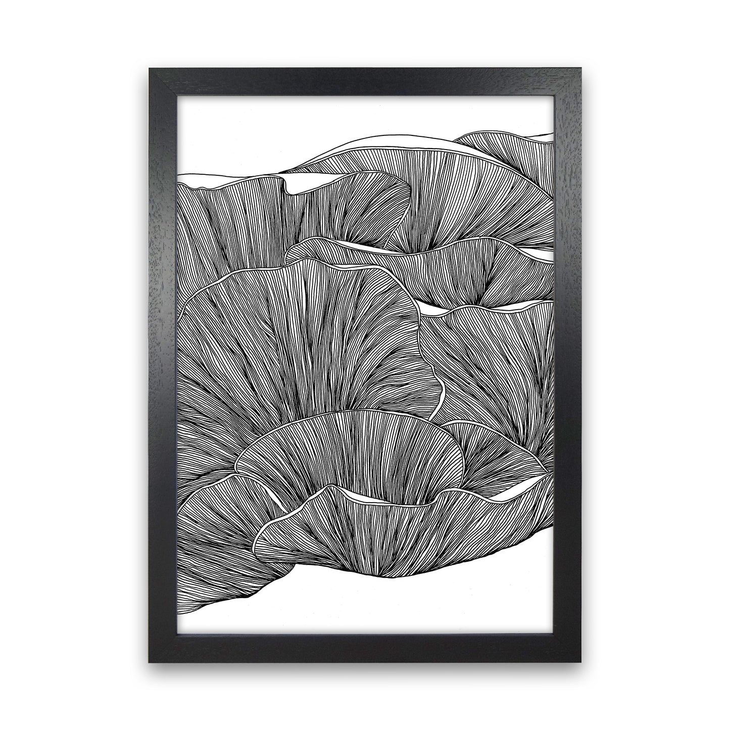Oyster Mushrooms BW Art Print by Carissa Tanton Black Grain