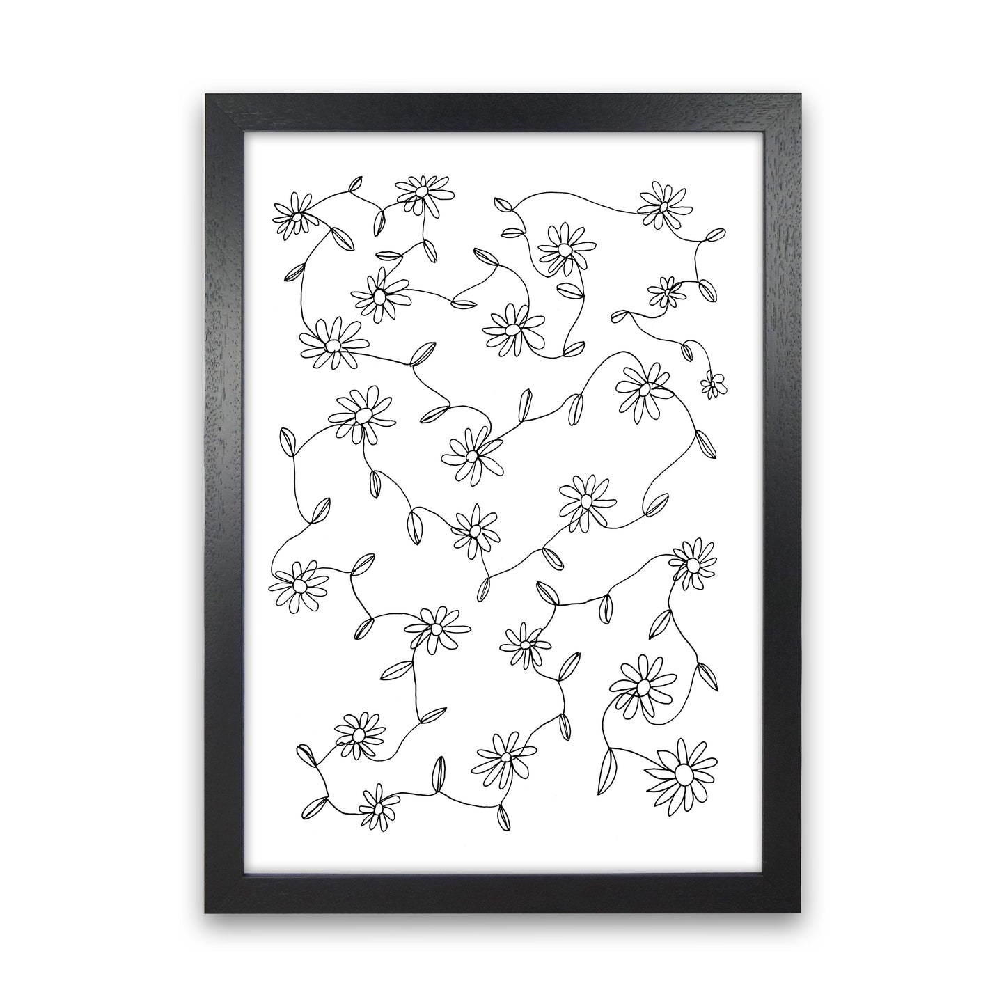 September Daisies Art Print by Carissa Tanton Black Grain
