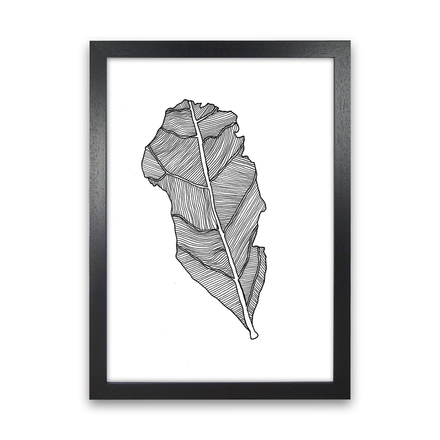 Kyobancha Leaf Art Print by Carissa Tanton Black Grain