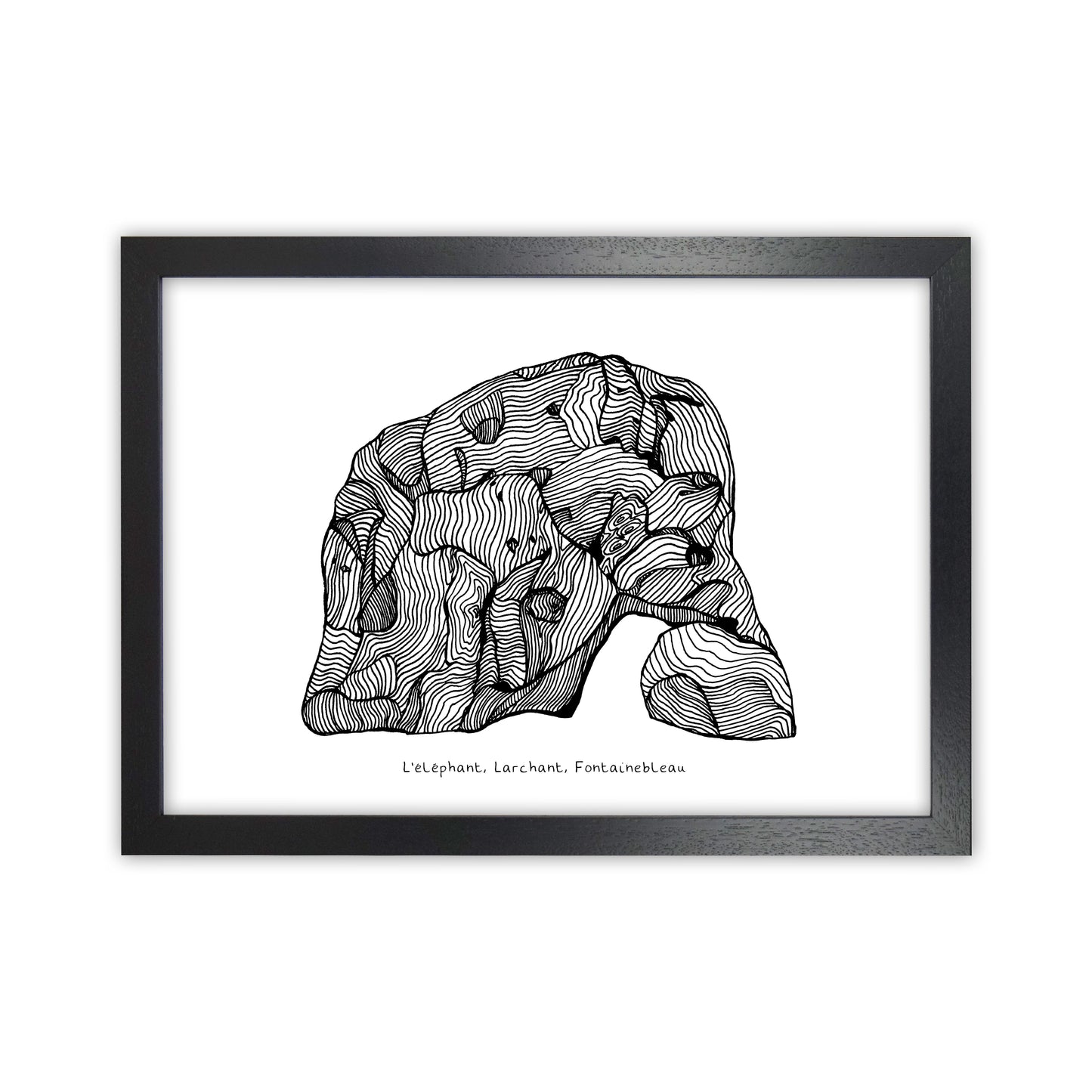 Font Elephant Art Print by Carissa Tanton Black Grain