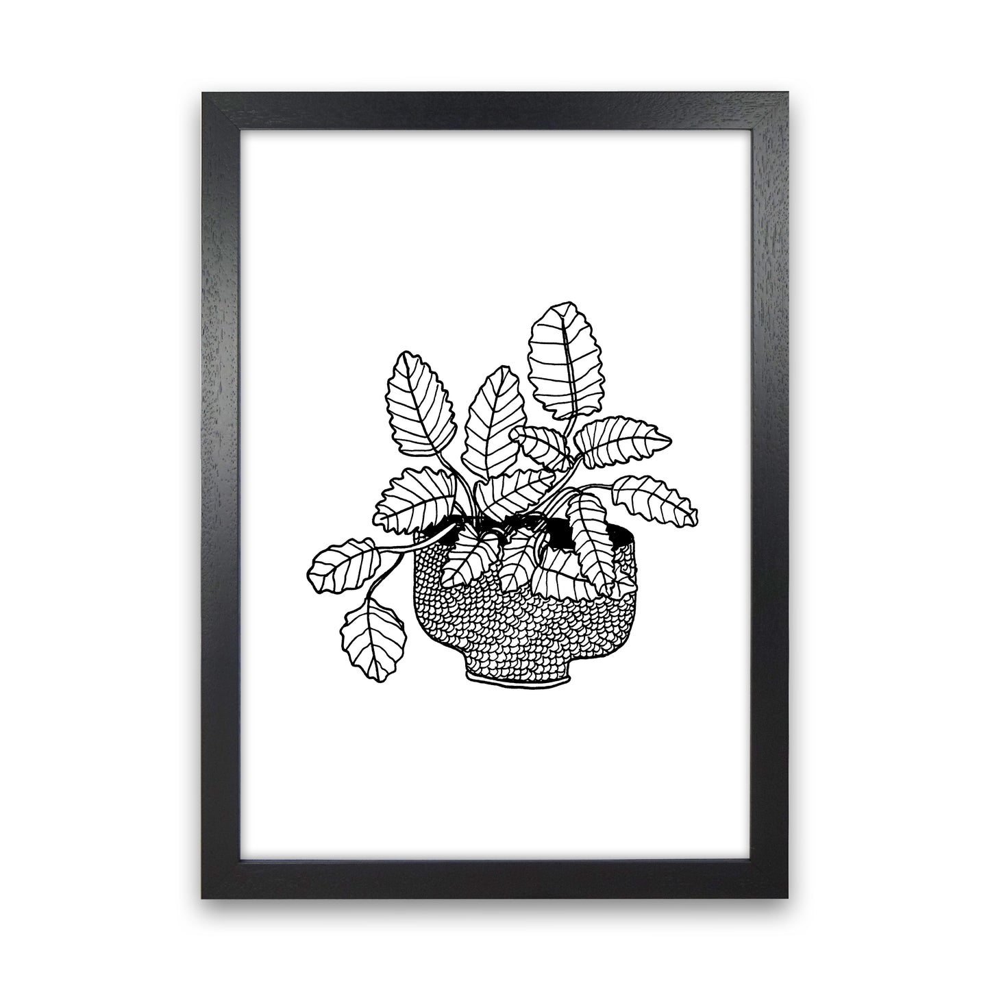 Peppermint Art Print by Carissa Tanton Black Grain