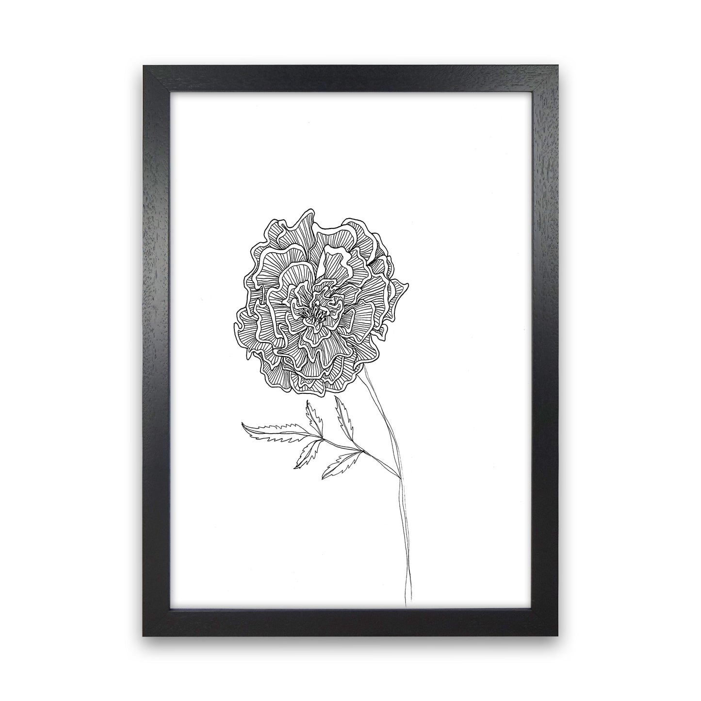 Marigold Art Print by Carissa Tanton Black Grain